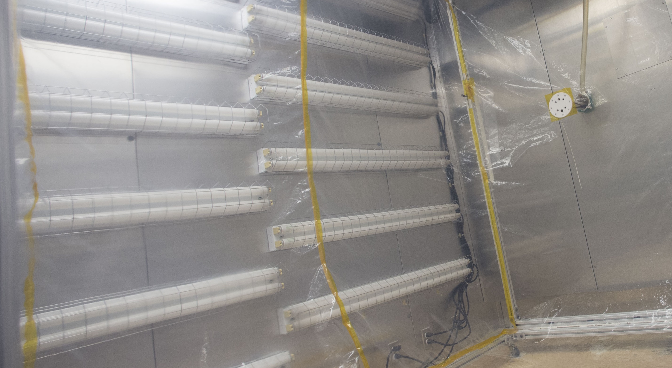 Tracking atmospheric organic carbon as it chemically transforms