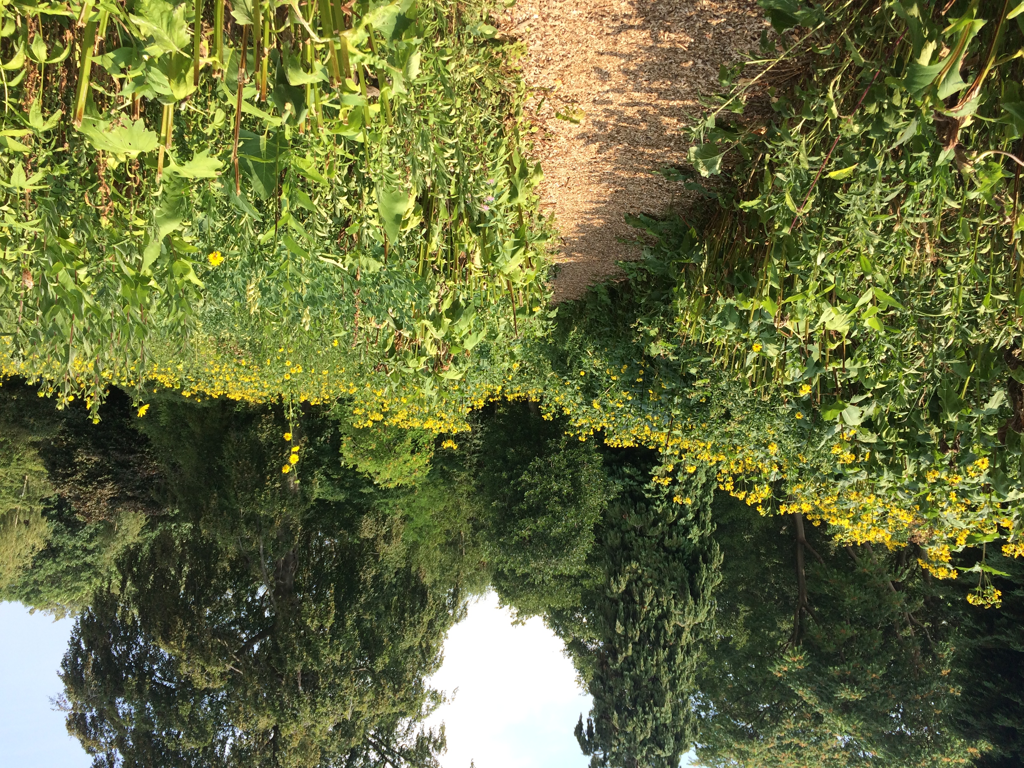 Behind the Book | How much more evidence do we need to invest in green spaces?