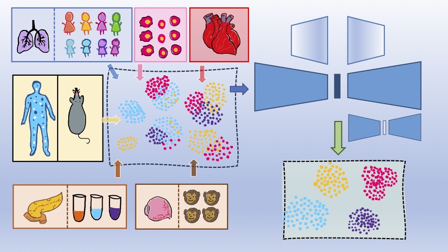 Integrating Single-cell Atlases with scDREAMER