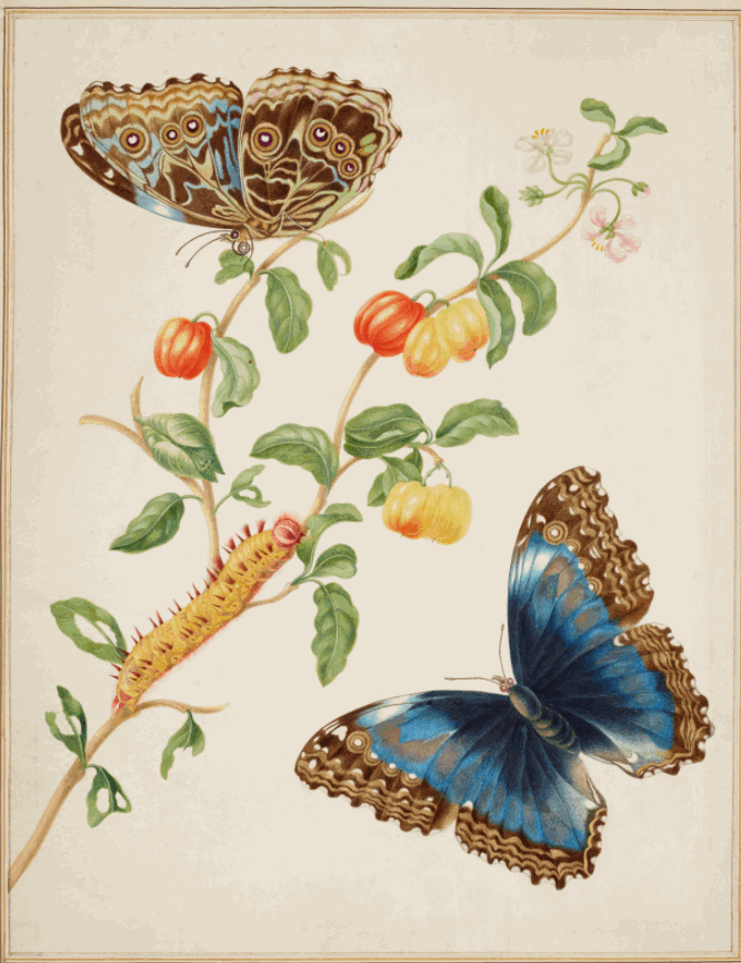 Women and the art of doing science