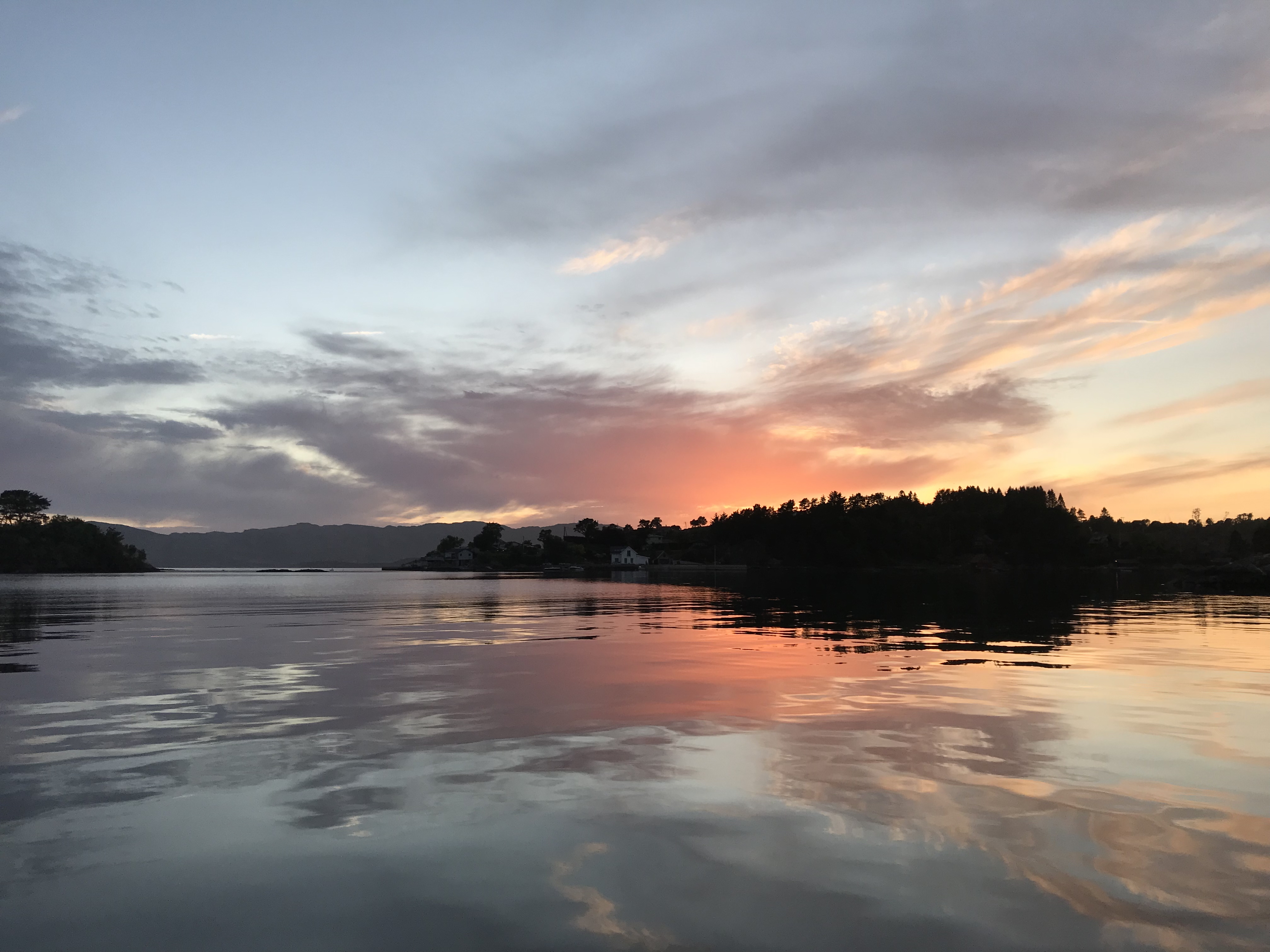 Hunting for the authentic host of giant viruses in the marine environment 