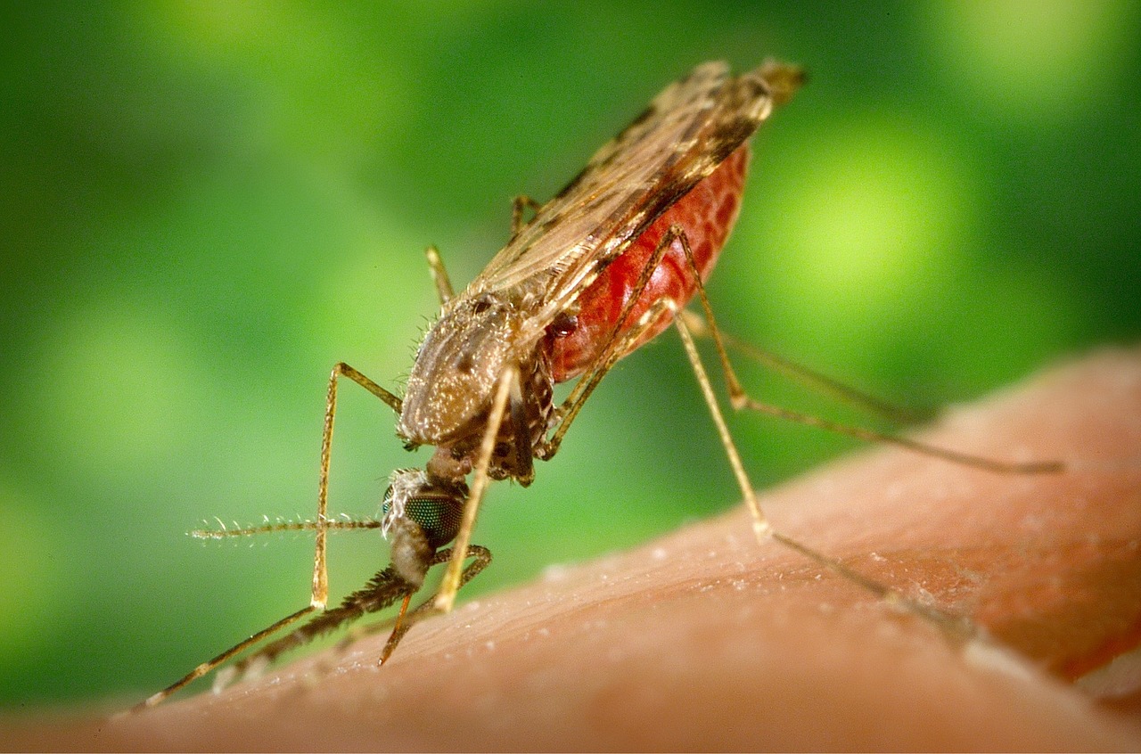 Zika Spurs Health Warnings