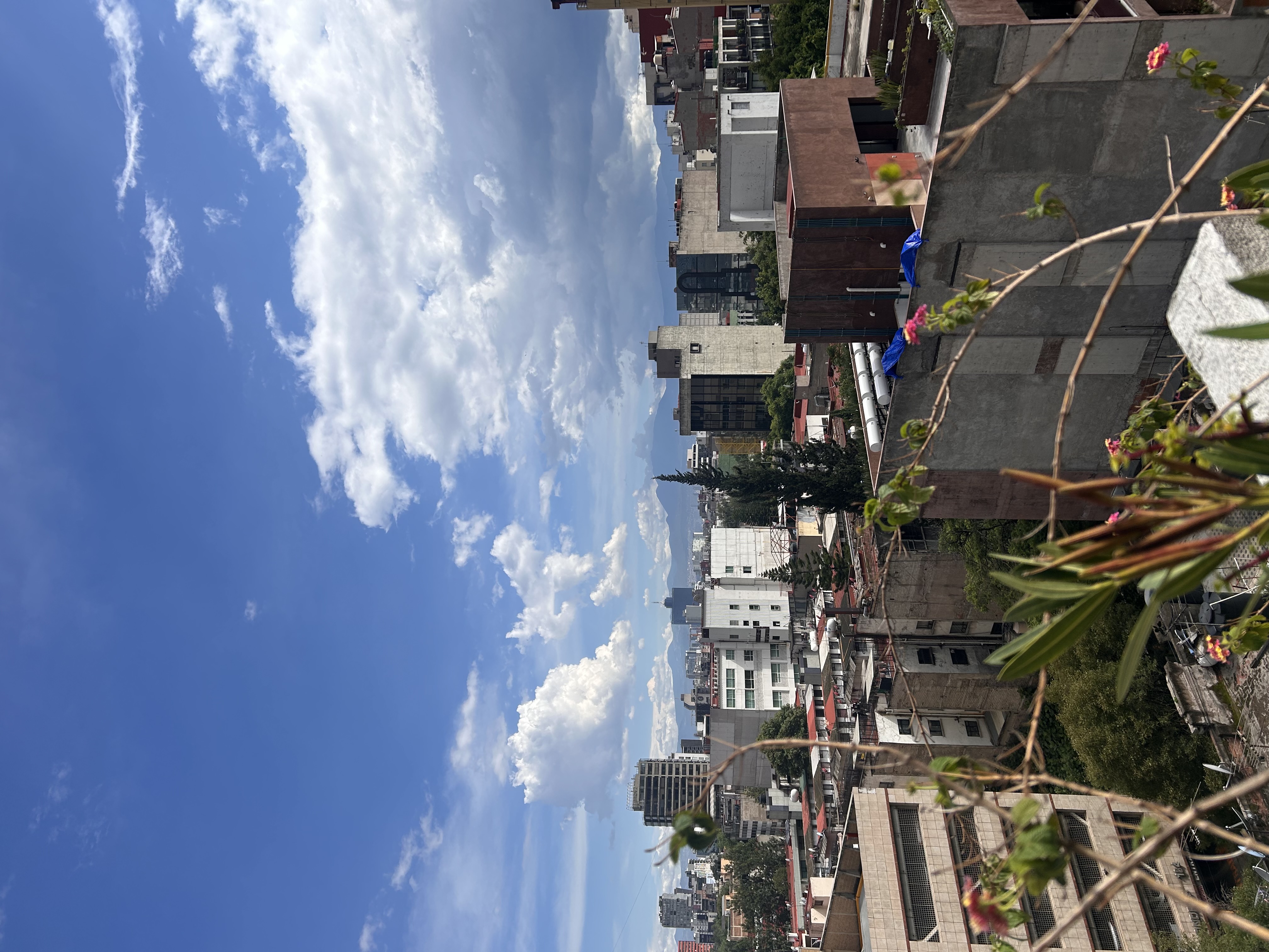 LiA: Week 1 in Mexico City