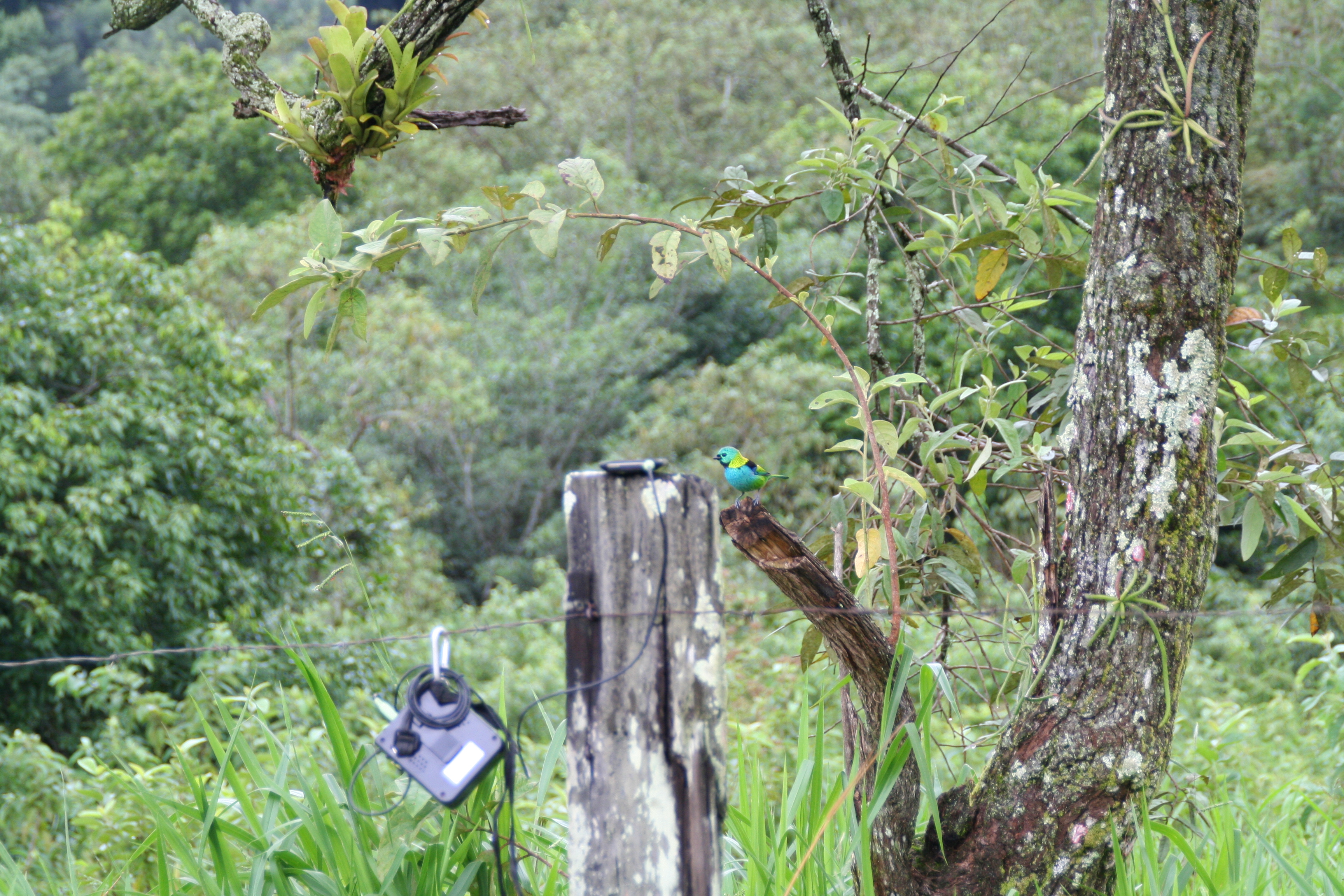 Modern tools reveal ancient bird behaviors