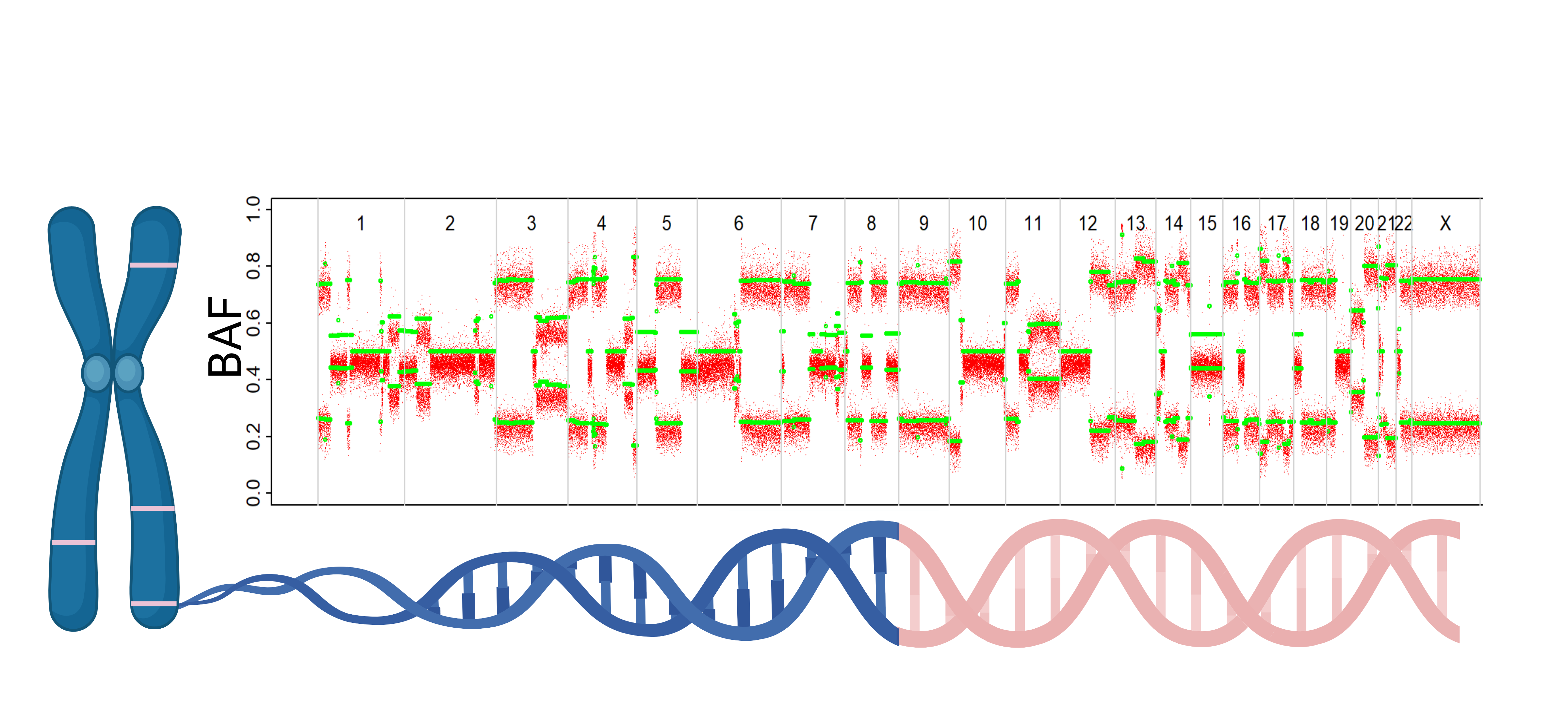 Ovarian cancer specific homologous recombination deficiency score