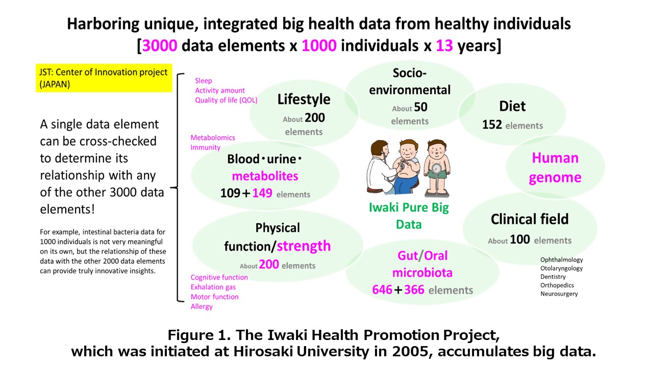 The Iwaki Health Promotion Project is unique big health data from healthy individuals