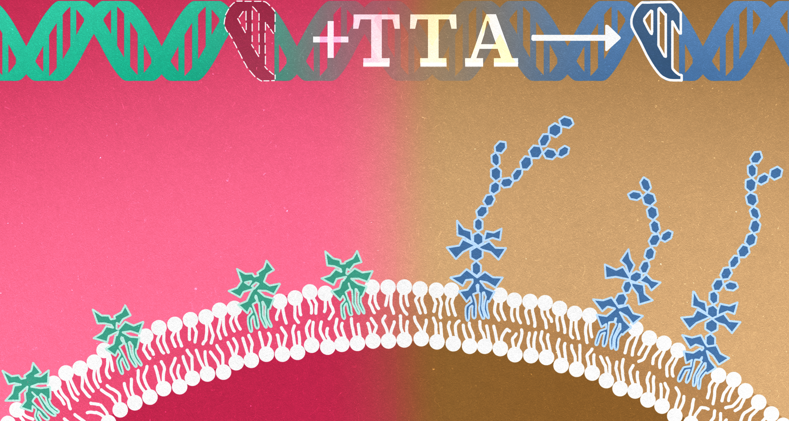 An Unexpected Bacterial Phenomenon Enables Safer Science