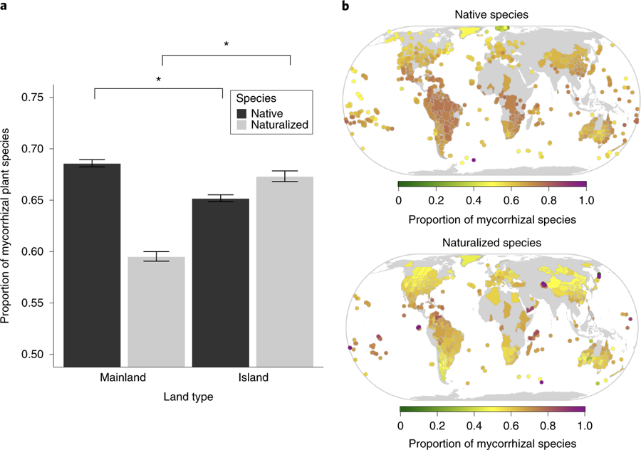 Invisible Microbes Impact Global Plant Distribution: The Mycorrhizal Fungi