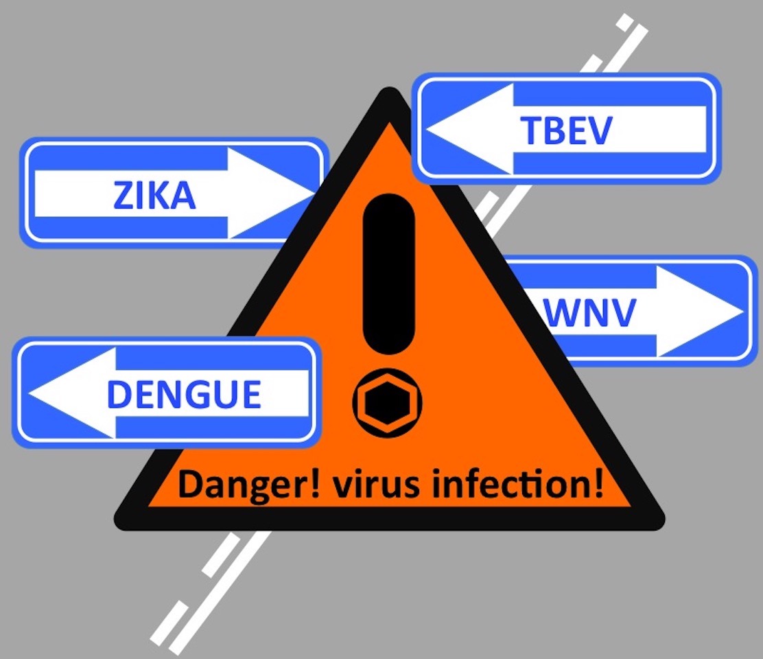 Alert! Virus infection!