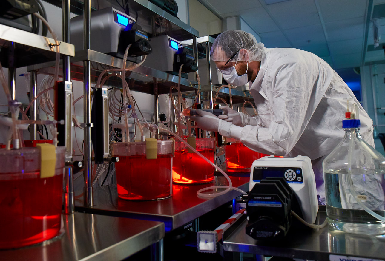 Successful transplant of bioengineered organs in large animals is a critical milestone on the road to in-human transplants