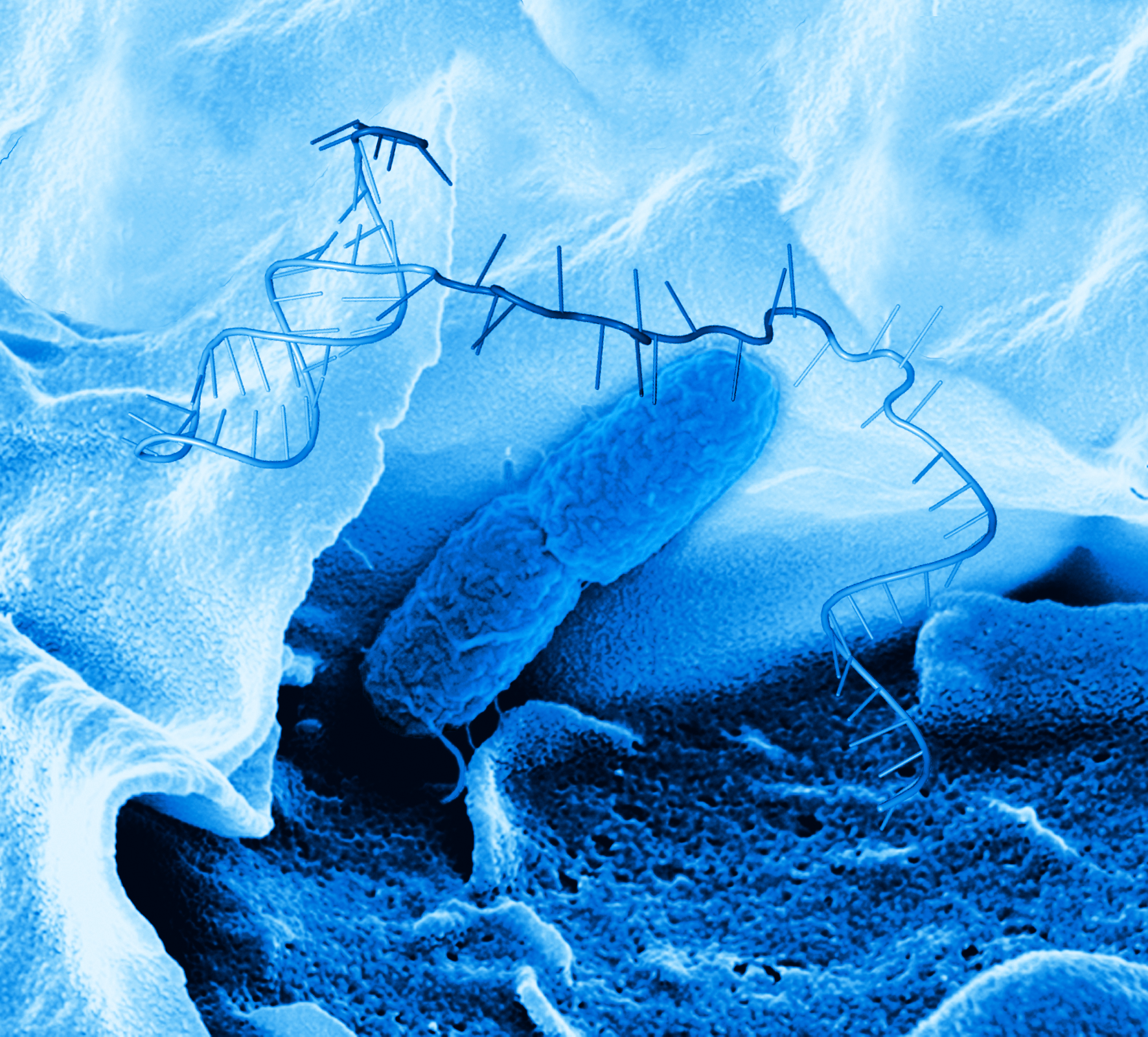 Leap forward in the fight against antibiotic resistance