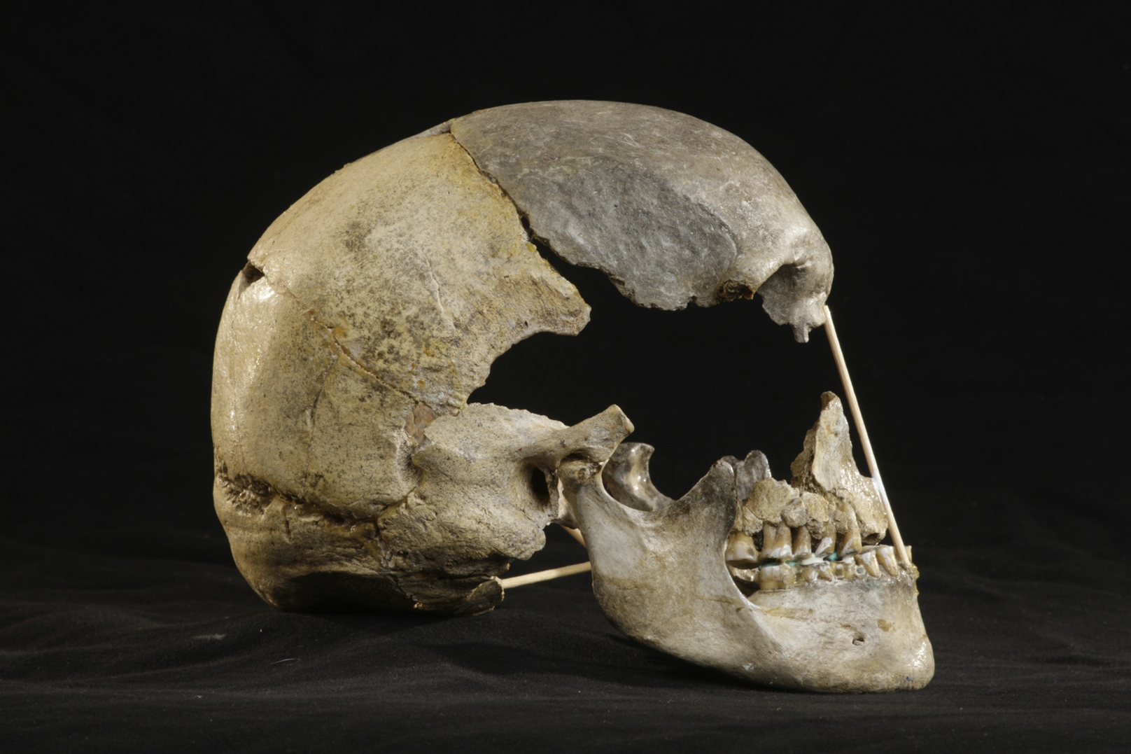 A bumpy ride to the re-discovery of Zlatý Kůň | Research