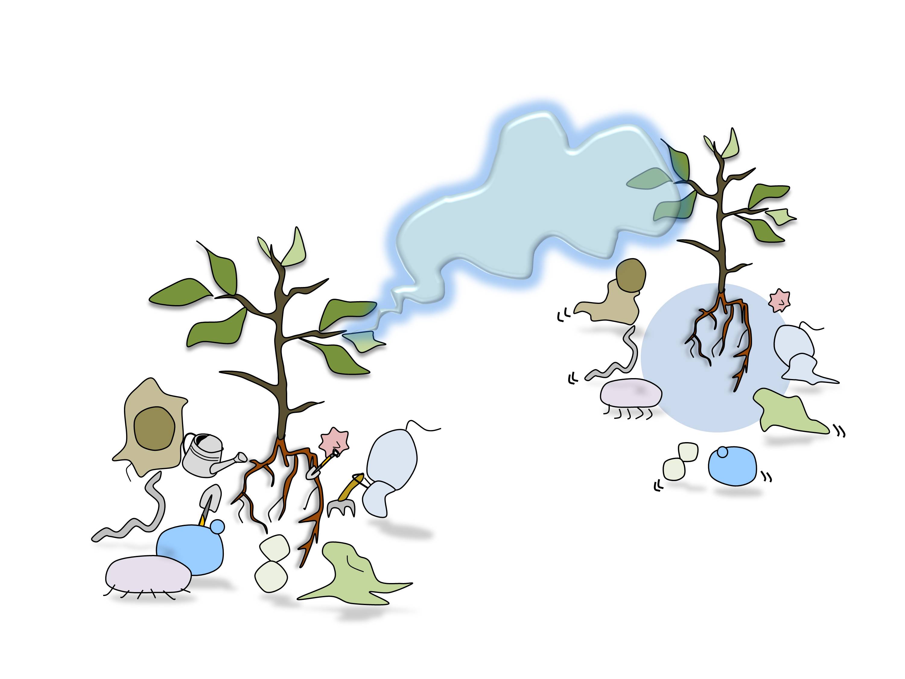 Plant no-contact communication: Synchronizing soil microbiota with the neighbor