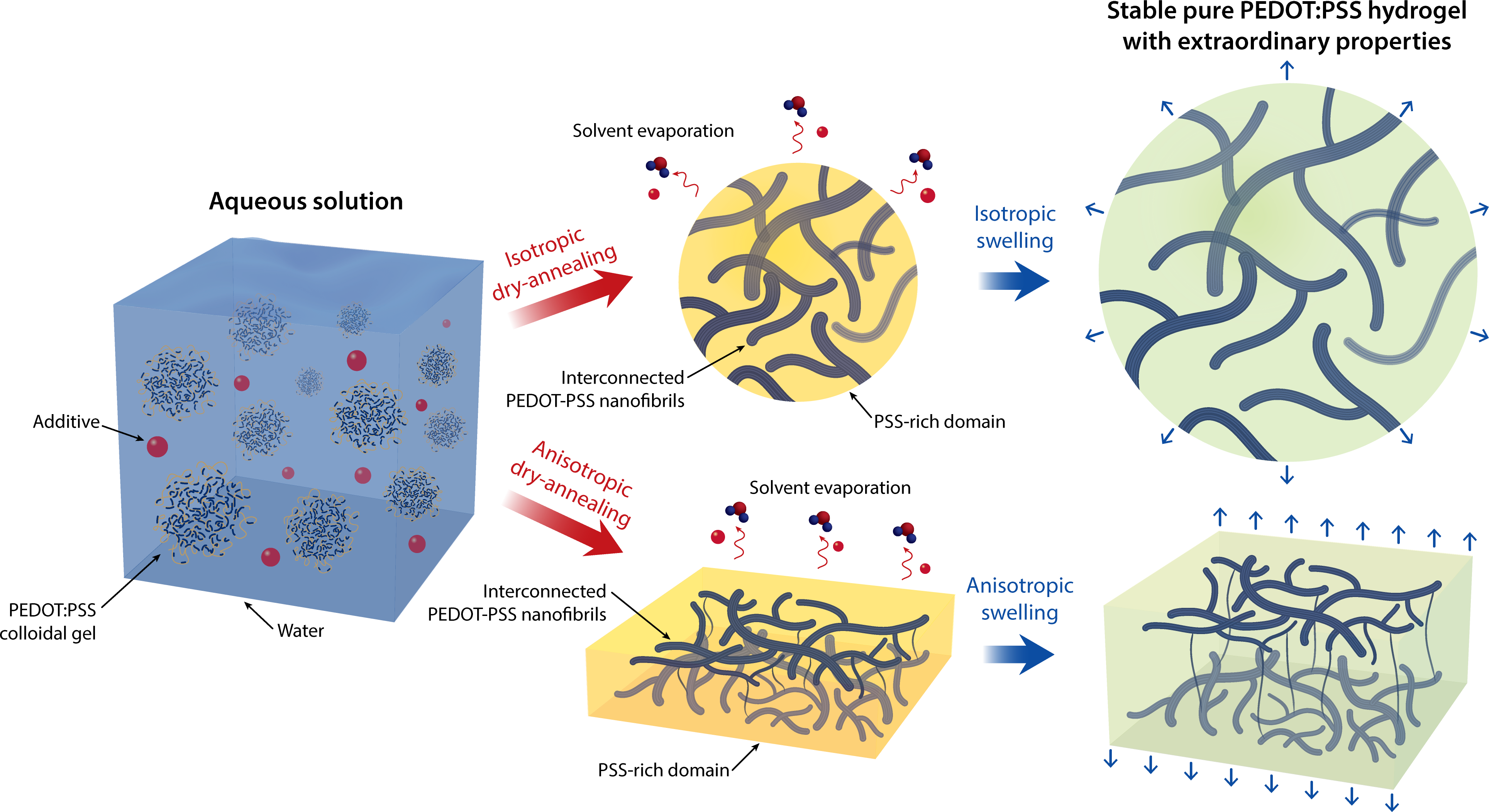 Pure PEDOT:PSS hydrogels