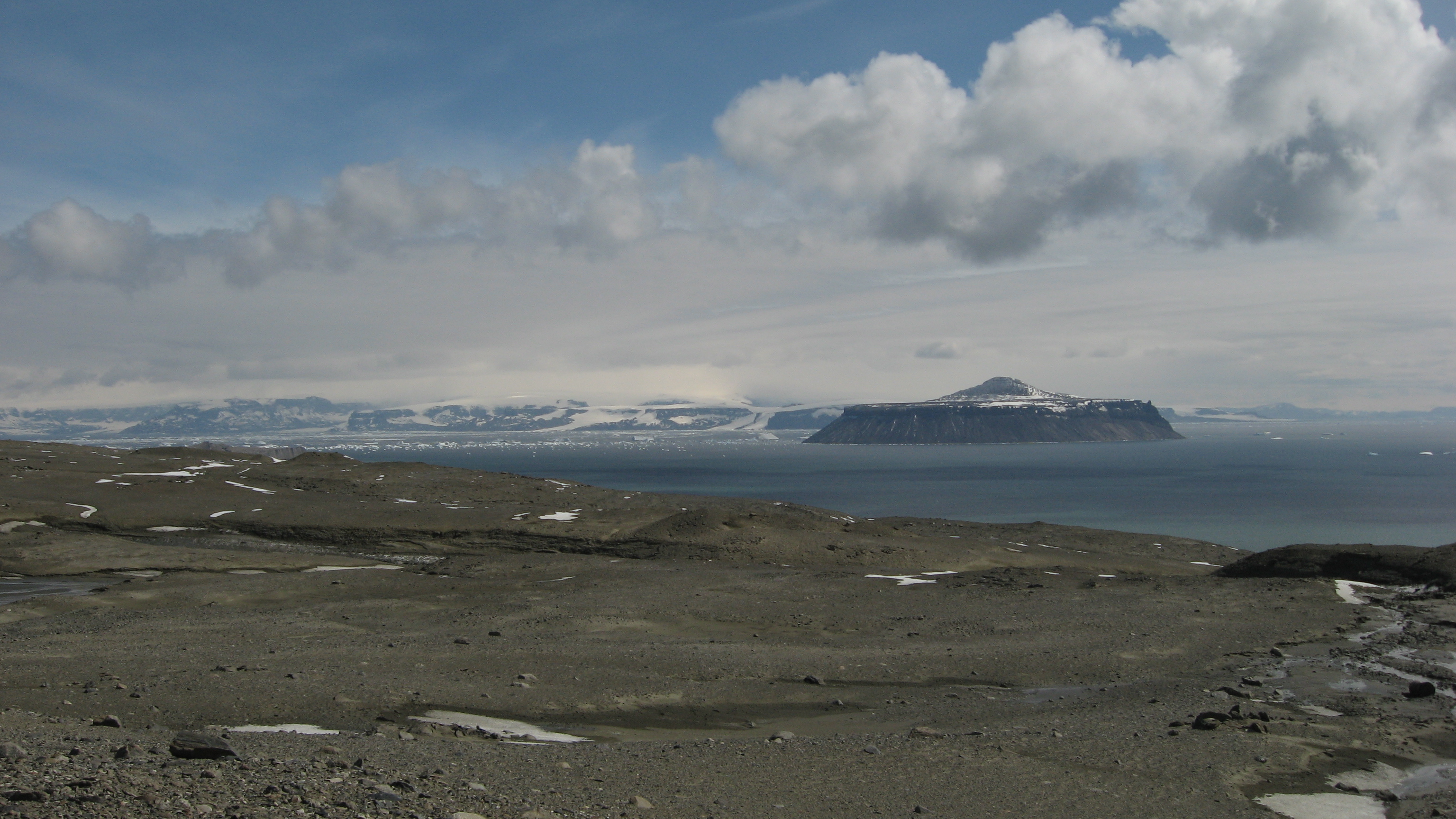 A giant soft-shelled egg from the Late Cretaceous of Antarctica