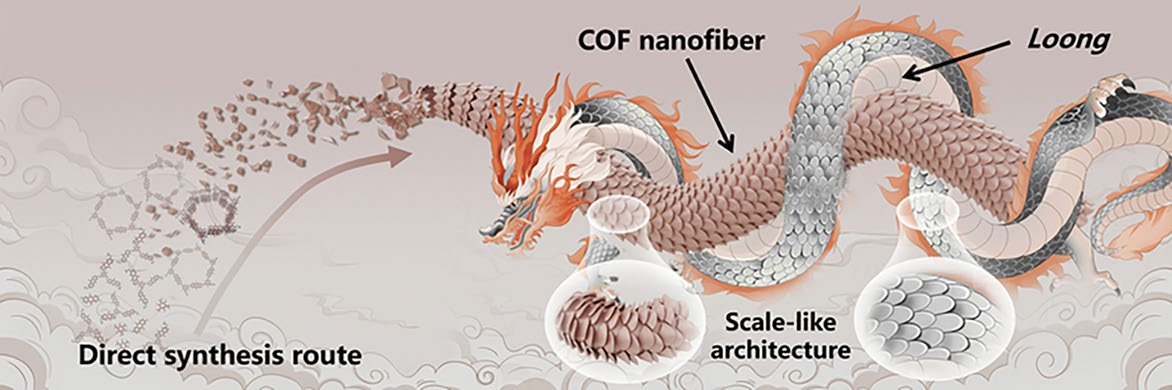 Flexible High-Aspect-Ratio COF Nanofibers: Defect-Engineered Synthesis, Superelastic Aerogels, and Uranium Extraction Applications