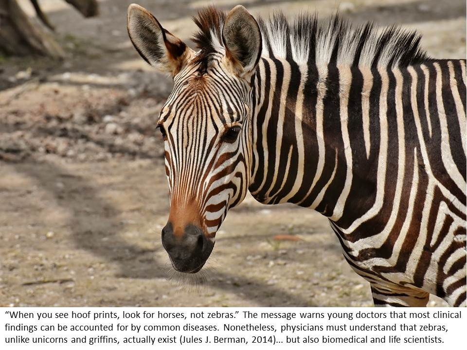 Rare diseases: a healthcare issue and rich scientific hunting ground