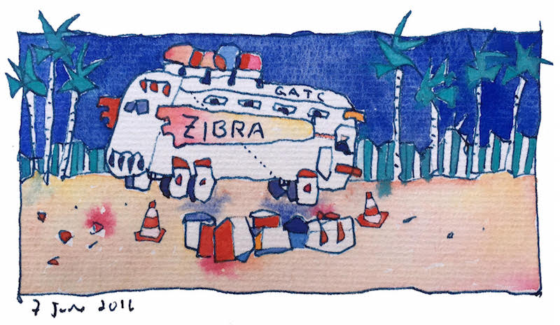 A sequencing road trip at the heartland of Zika virus in the Americas