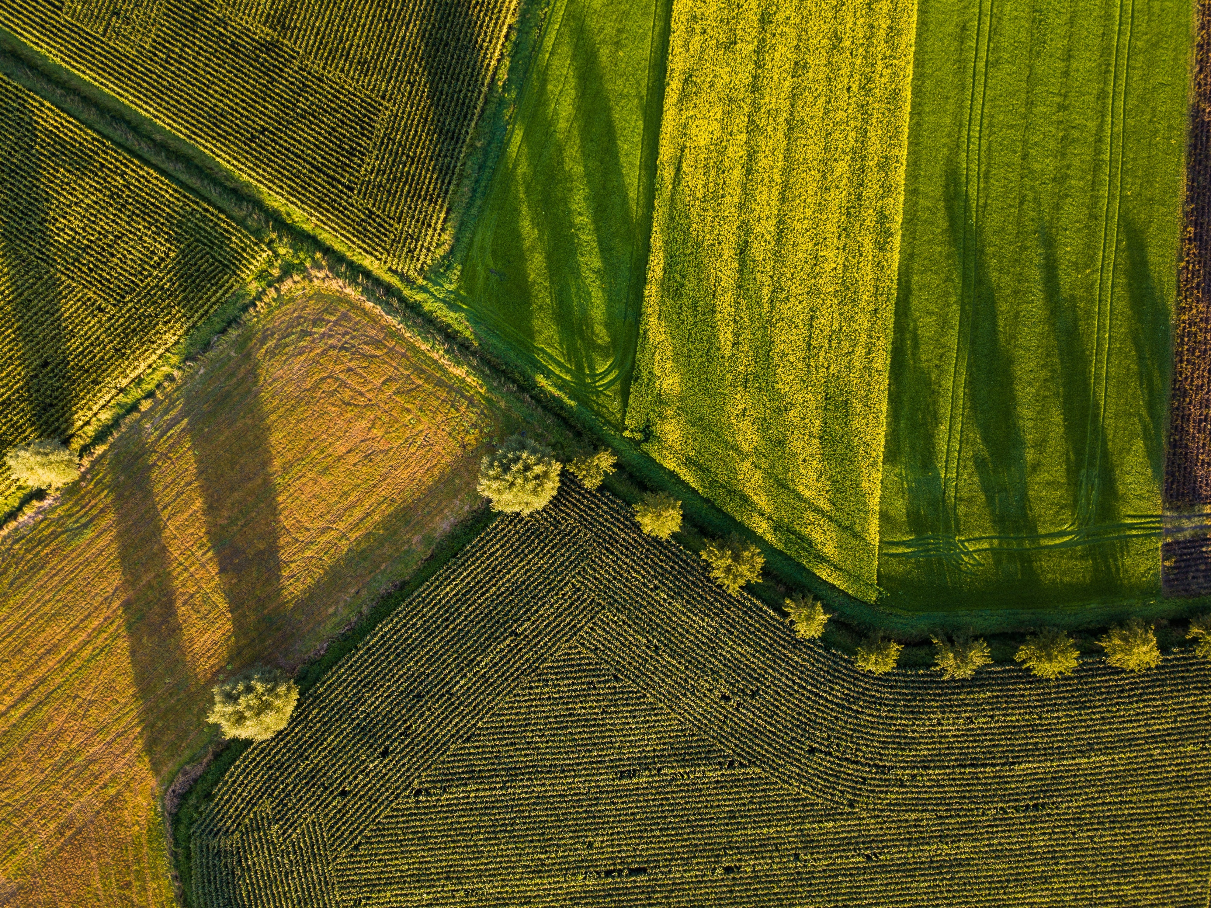 Understanding Earth system interactions is key to sustainable food production 
