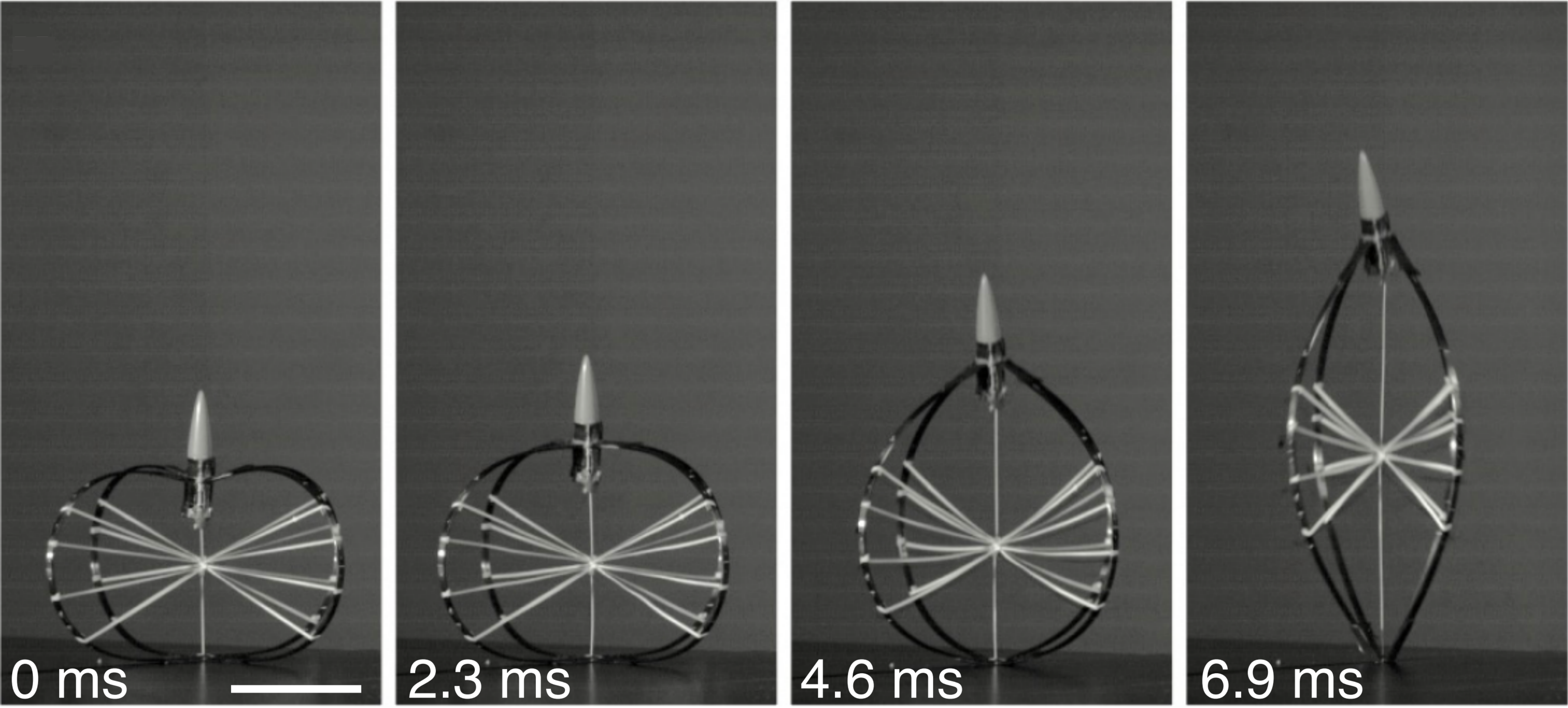 Engineered jumpers overcome biological limits via work multiplication