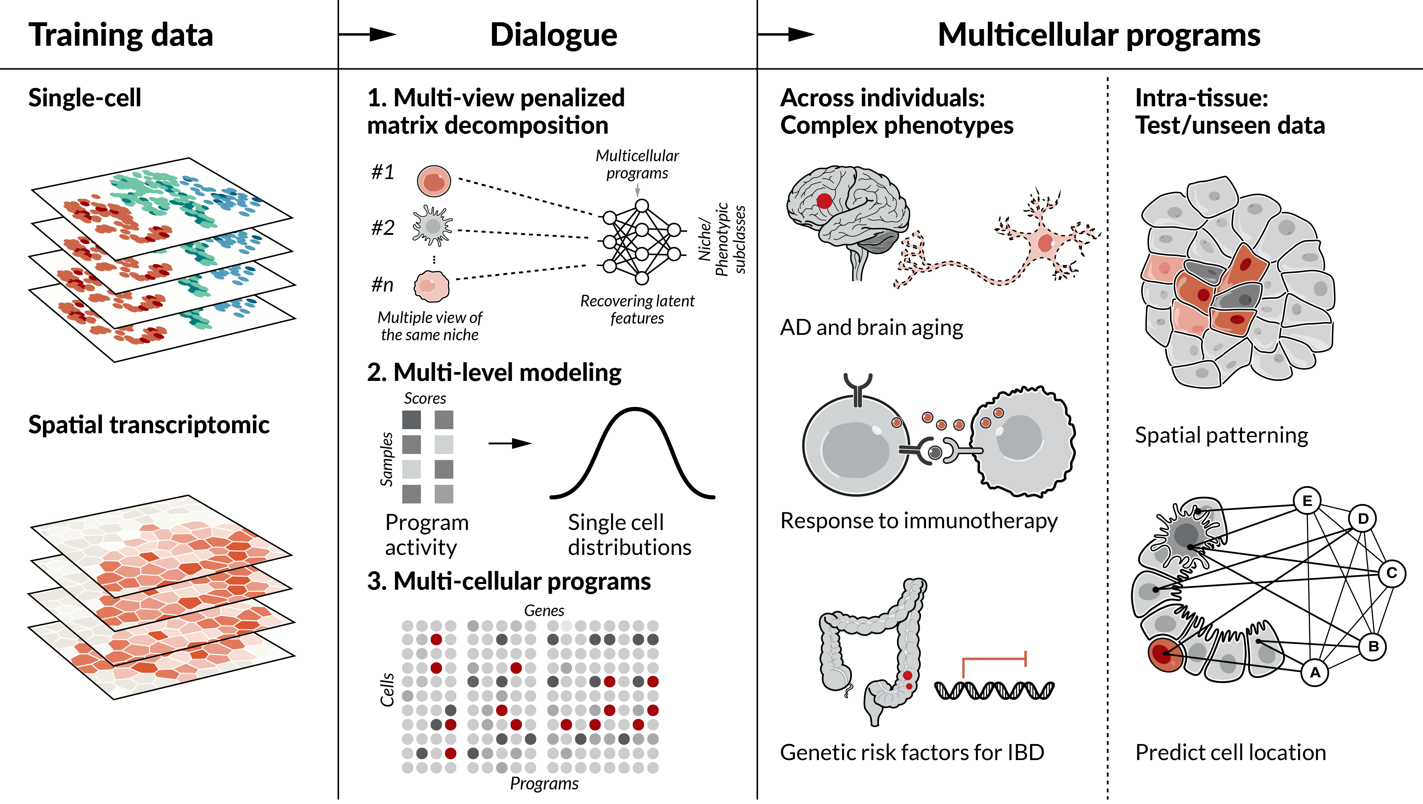 DIALOGUE maps multicellular programs in tissue from single-cell or spatial transcriptomics data