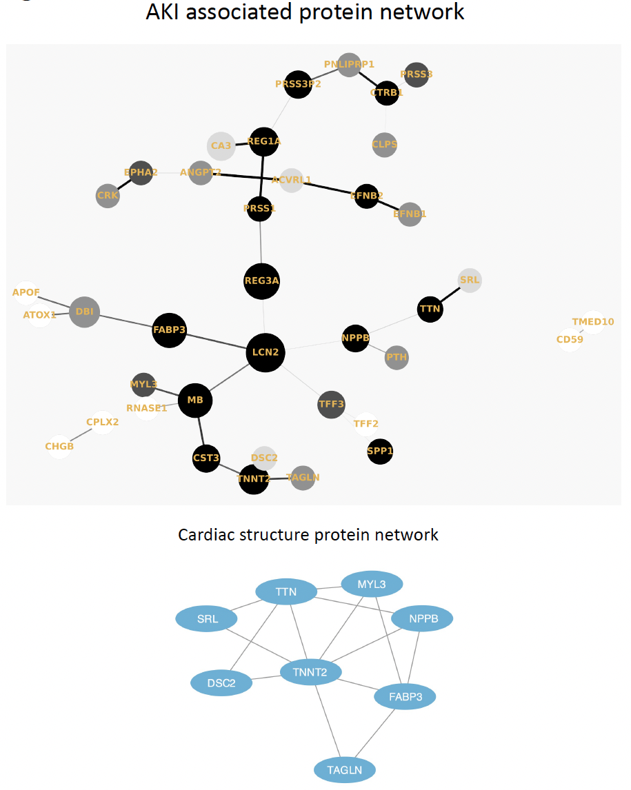 Proteomic analysis of COVID-19-associated Acute Kidney Injury is significantly driven by markers of hemodynamic instability, tubular injury and myocardial damage