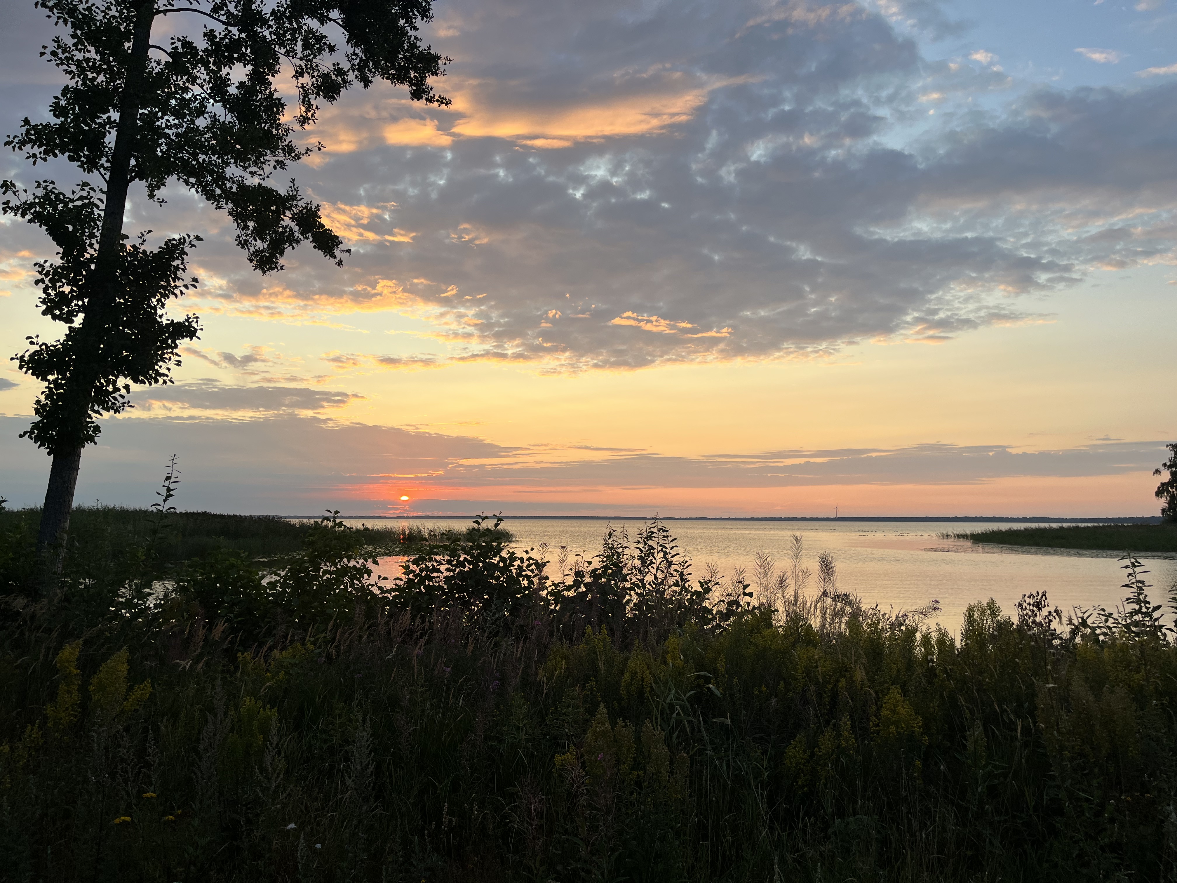 LiA Week 5: Resilience, Rest, and RÖHAK