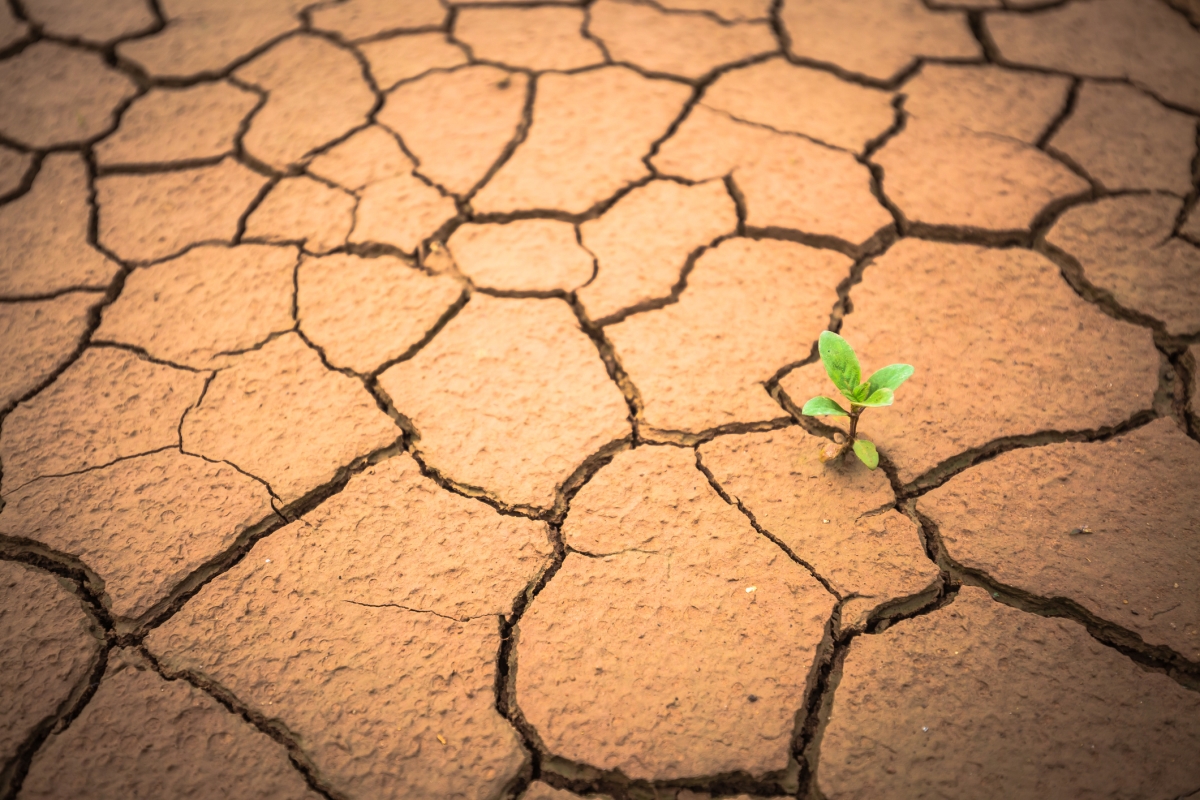 Nature Research Editors' Earth and Climate Highlights 