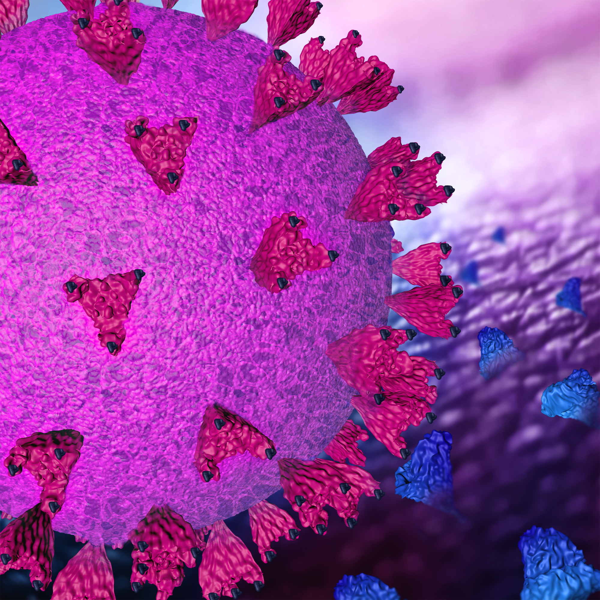 Using synthetic nanobodies to block SARS-CoV-2 cell entry