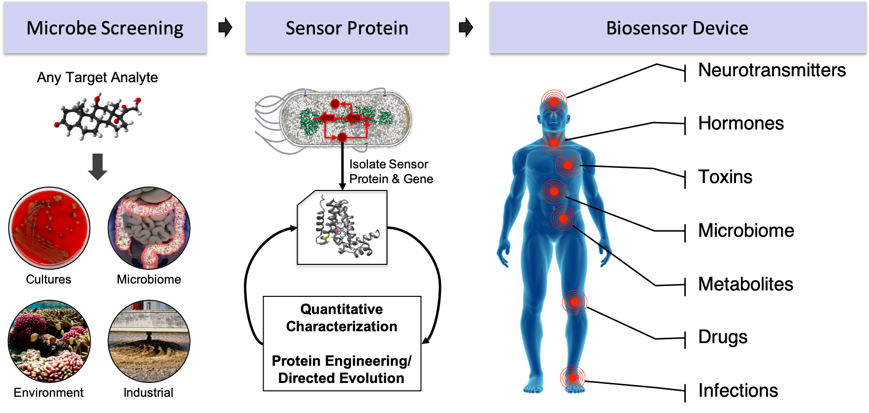 Mining Microbes to Engineer Biosensor Devices