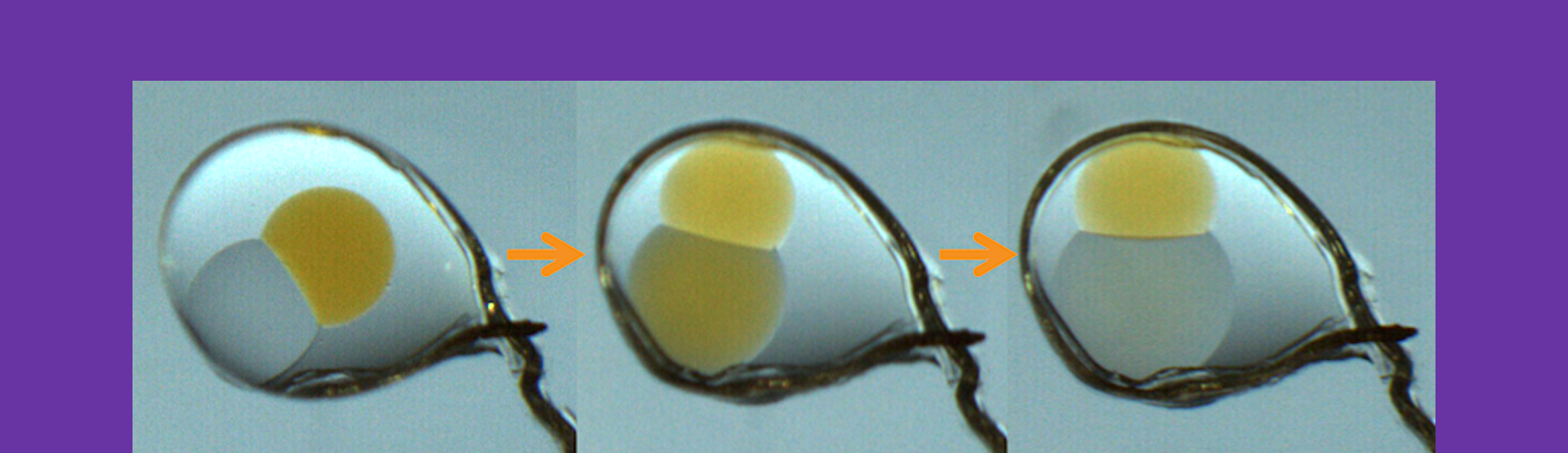 Smart drug delivery with a controllable pore