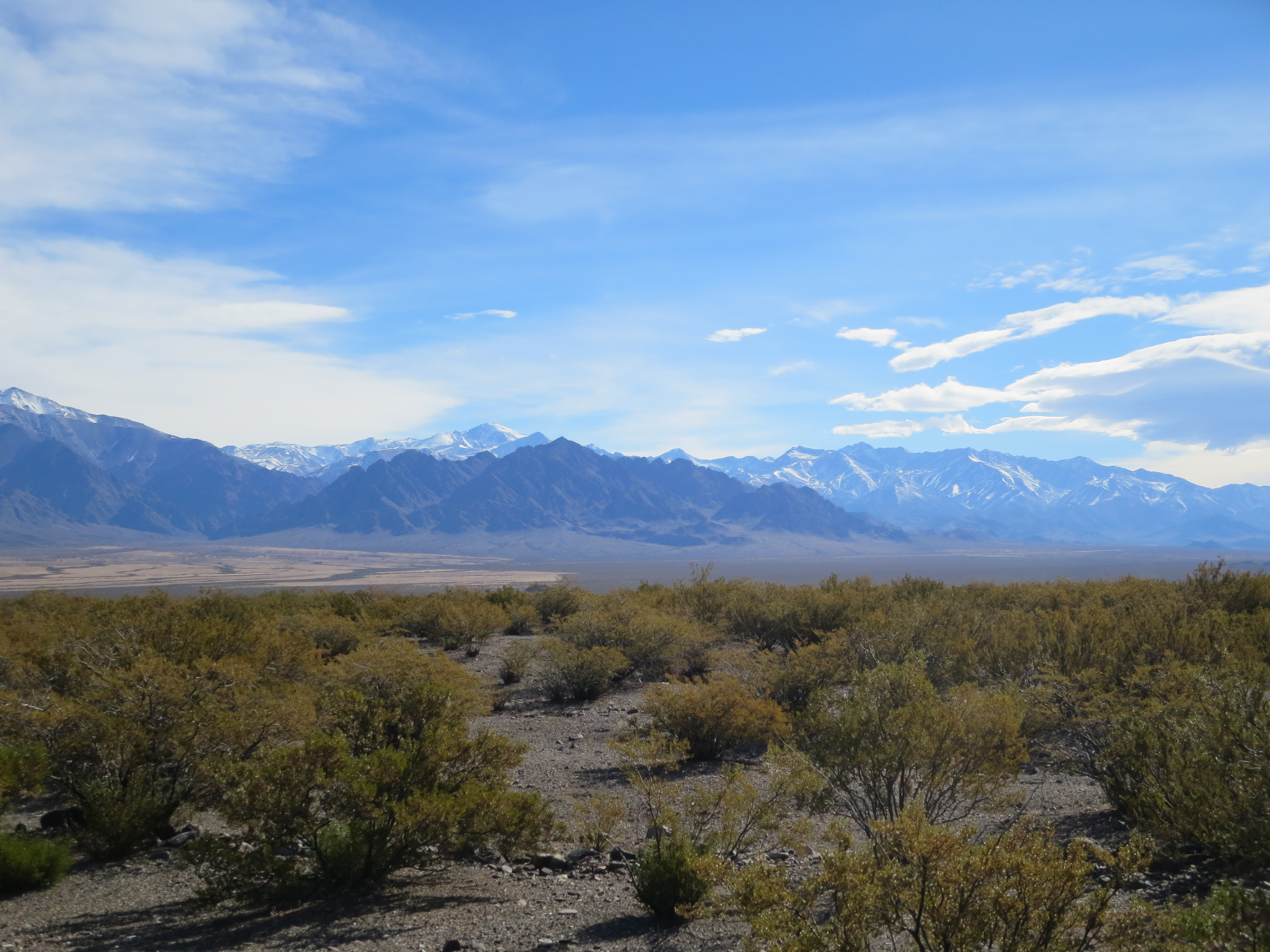 More than the sum of its parts: Indigenous communities, archaeologists and genomicists uncover human history in the Andes
