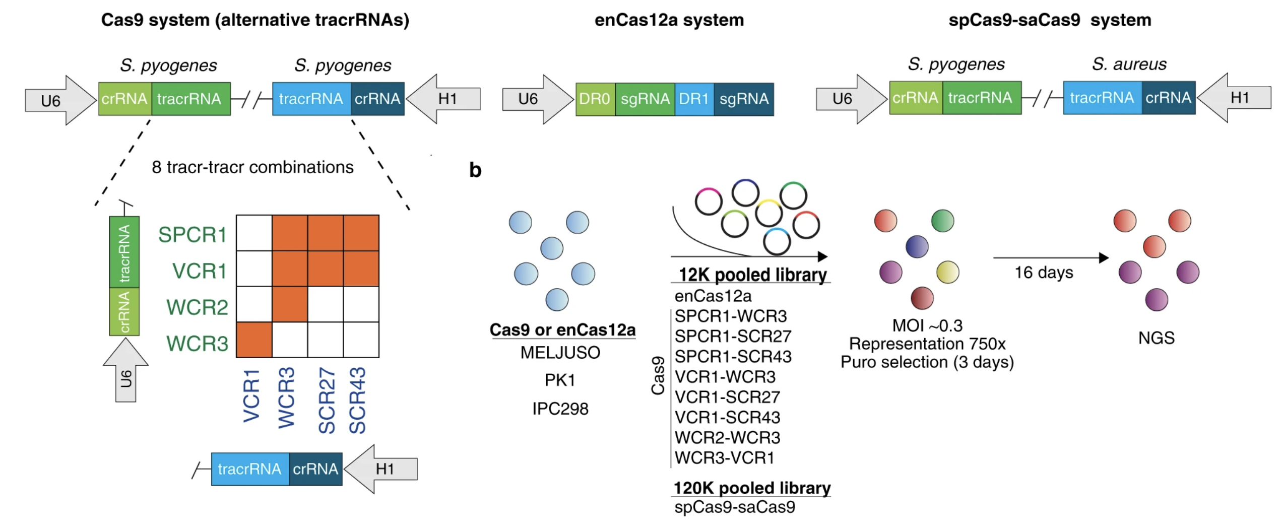 Comparative optimization of combinatorial CRISPR screens
