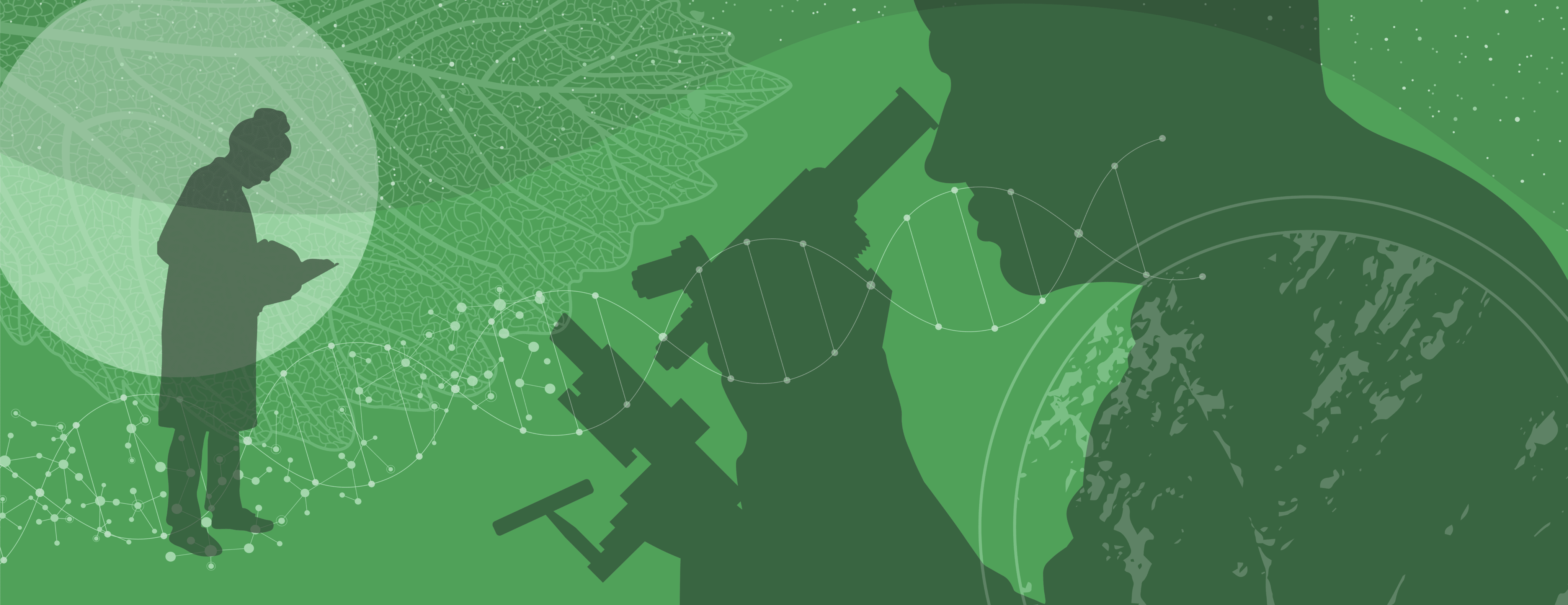 The Early Career Researchers Hub is Now Live 🚀 