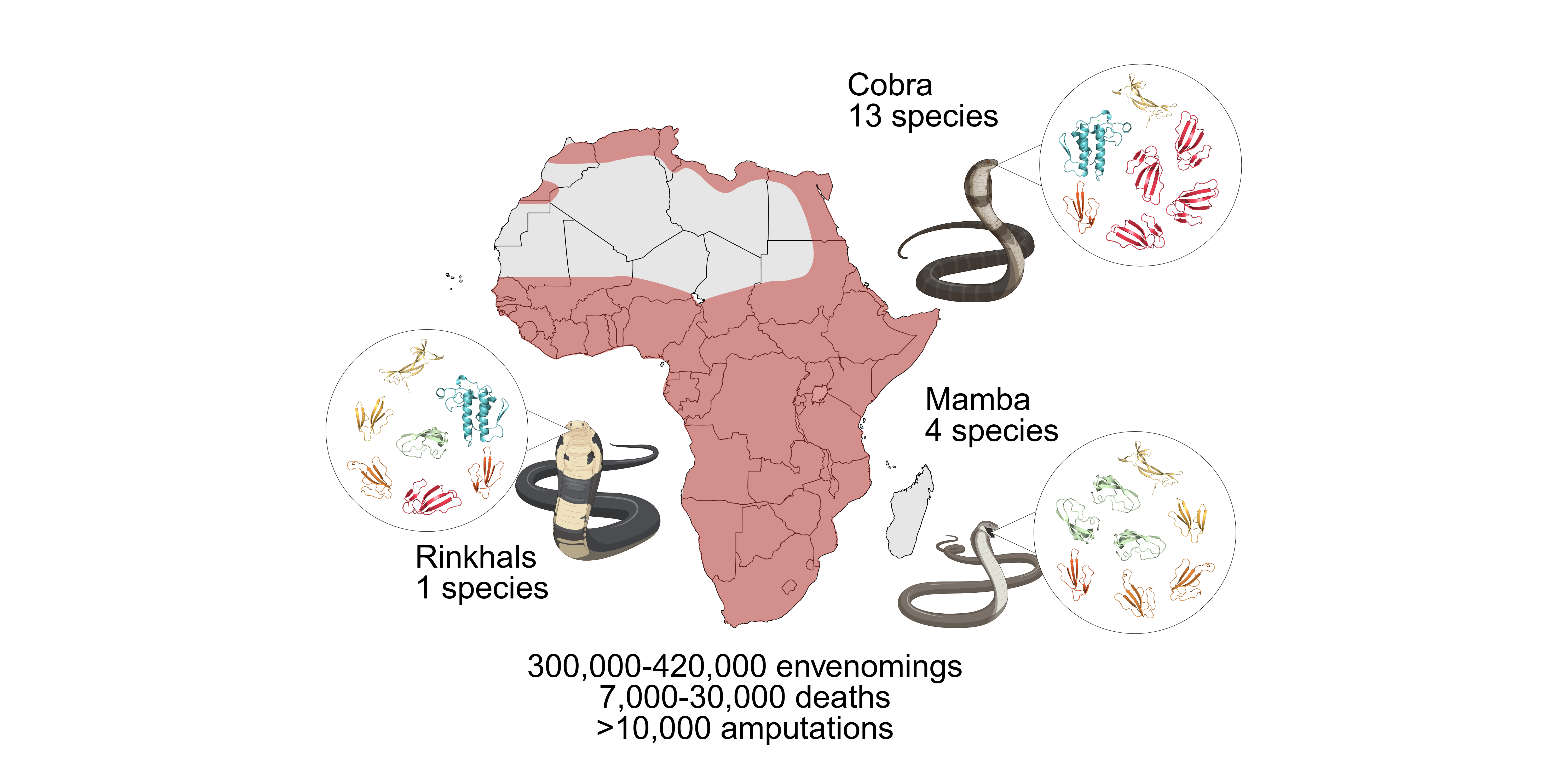 Reimagining antivenoms: from horse serum to biotechnology
