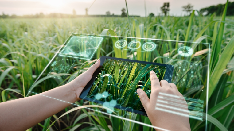 Call for papers and Q&A: Precision agriculture and smart farming