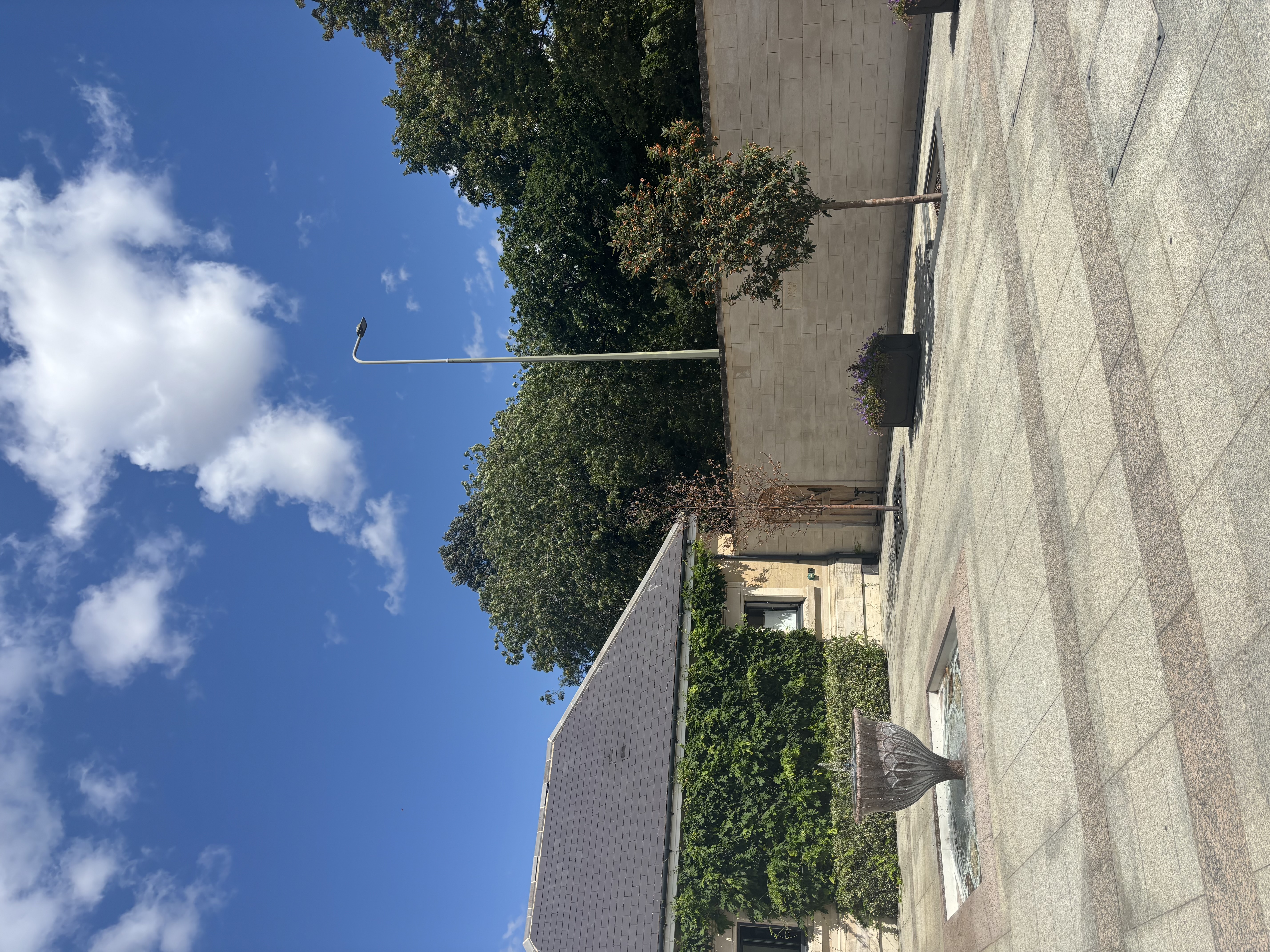 Week 6: Oxford Research Summer