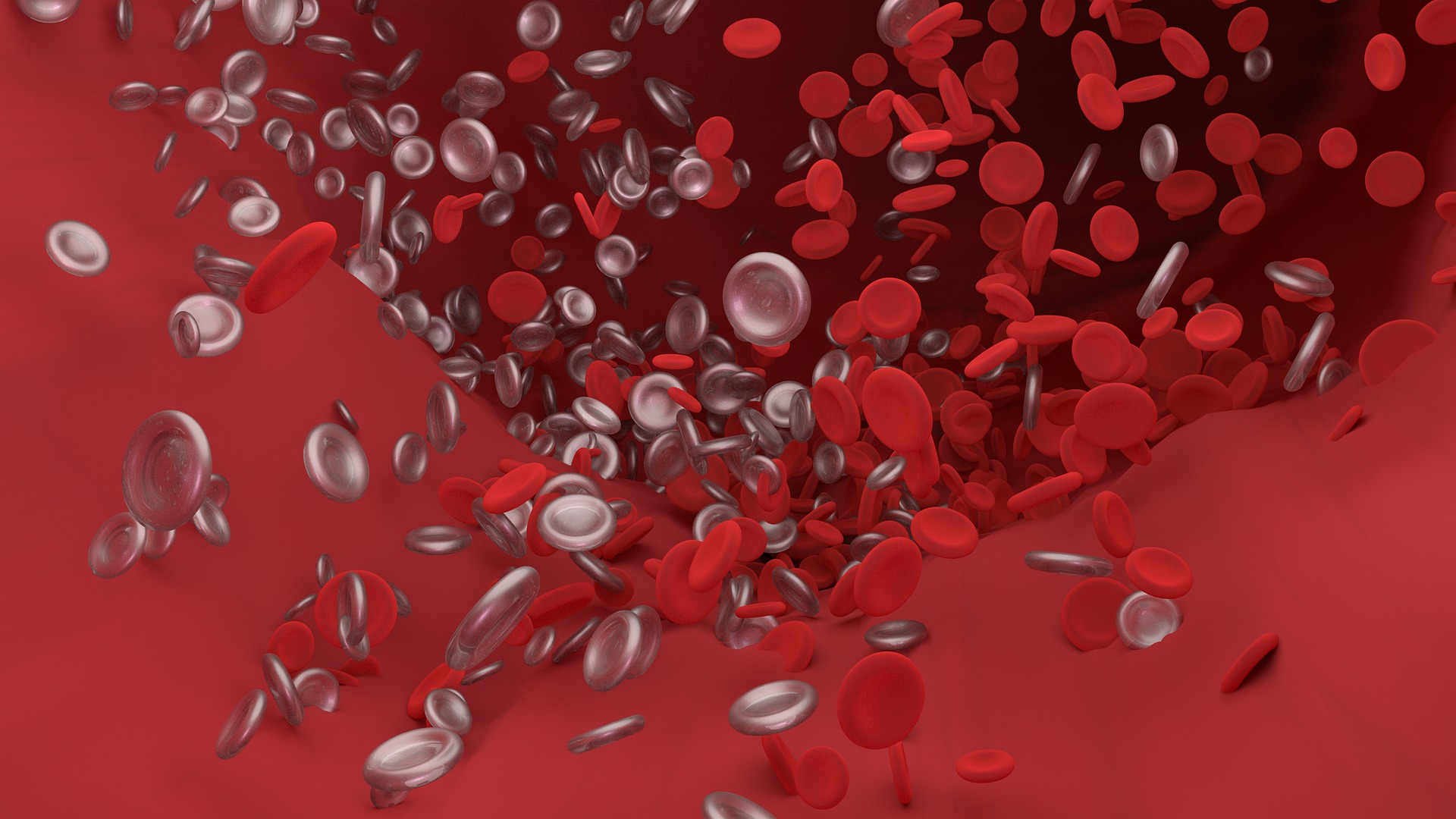 Thrombosis Journal - Q&A with Prof. Rob Medcalf, PhD