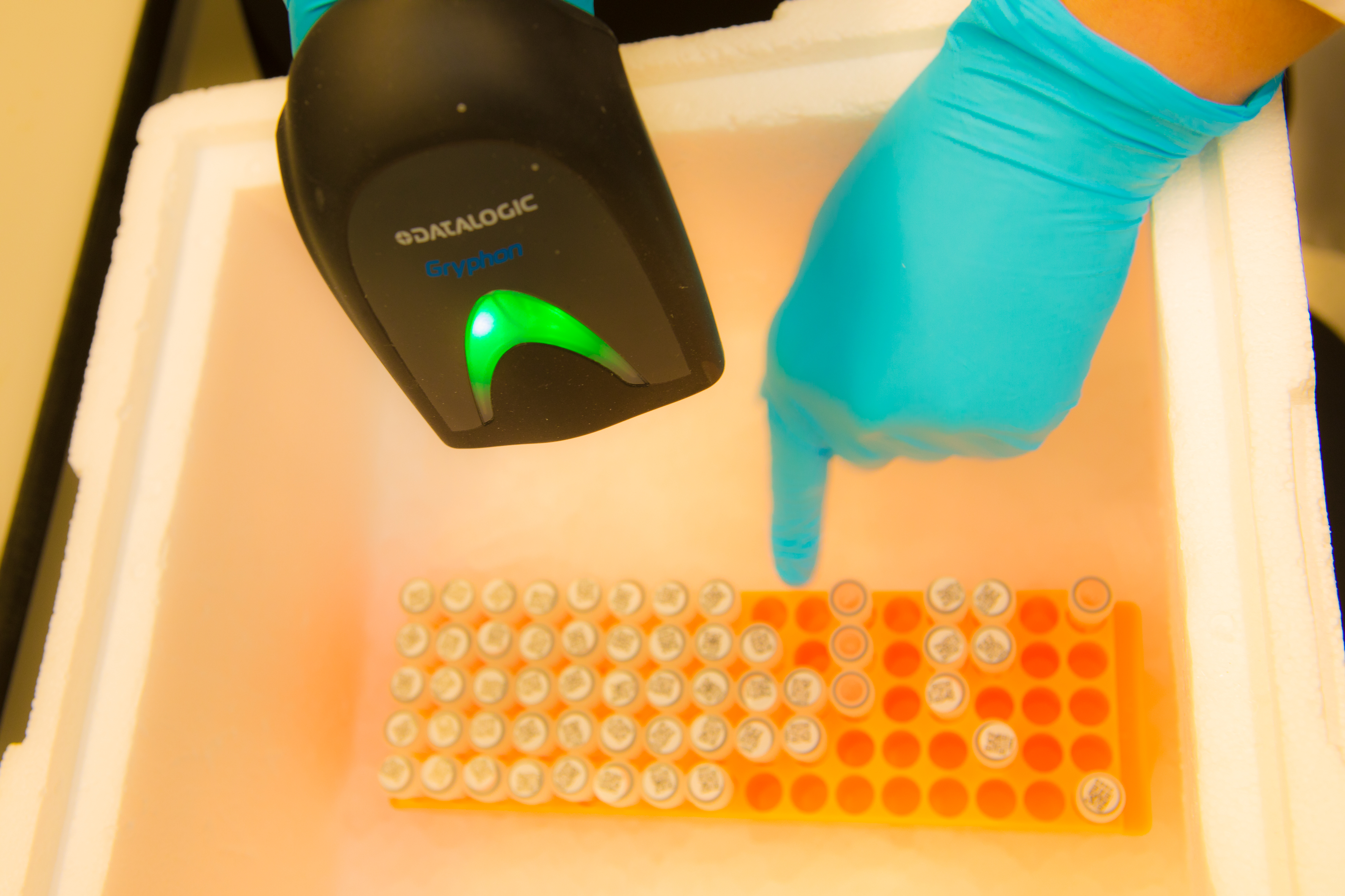 Count your blessings: quantitative microbiomics