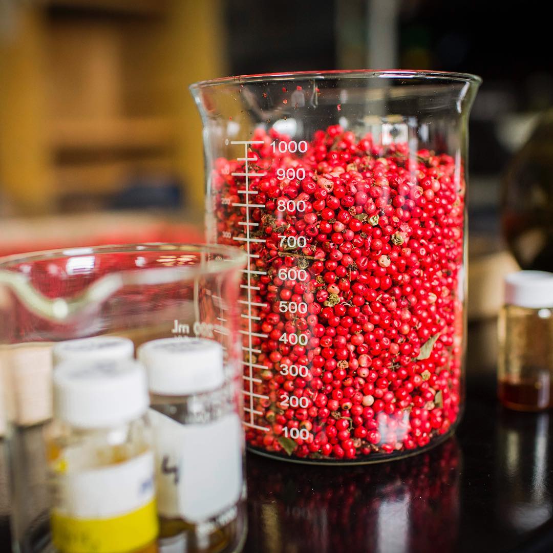 Noxious weed yields virulence solutions for MRSA