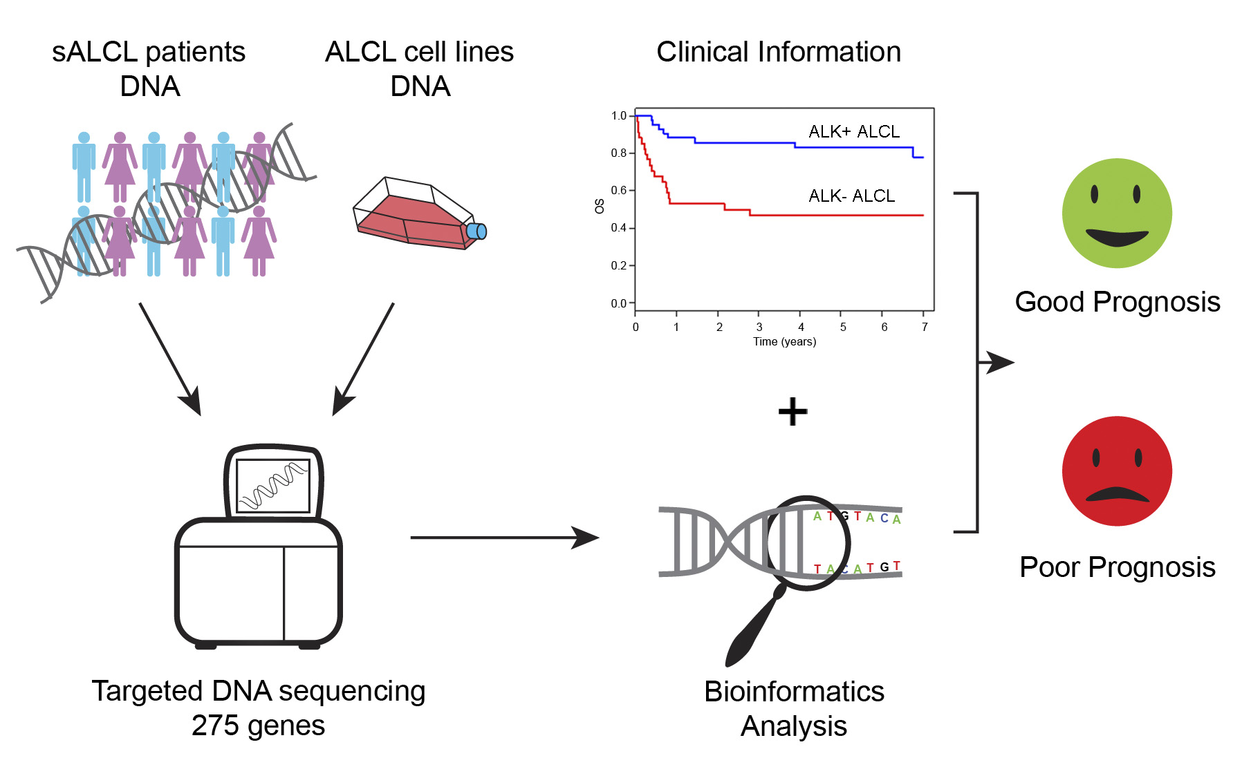 STAT3 and TP53 mutations associate with poor prognosis in anaplastic large cell lymphoma