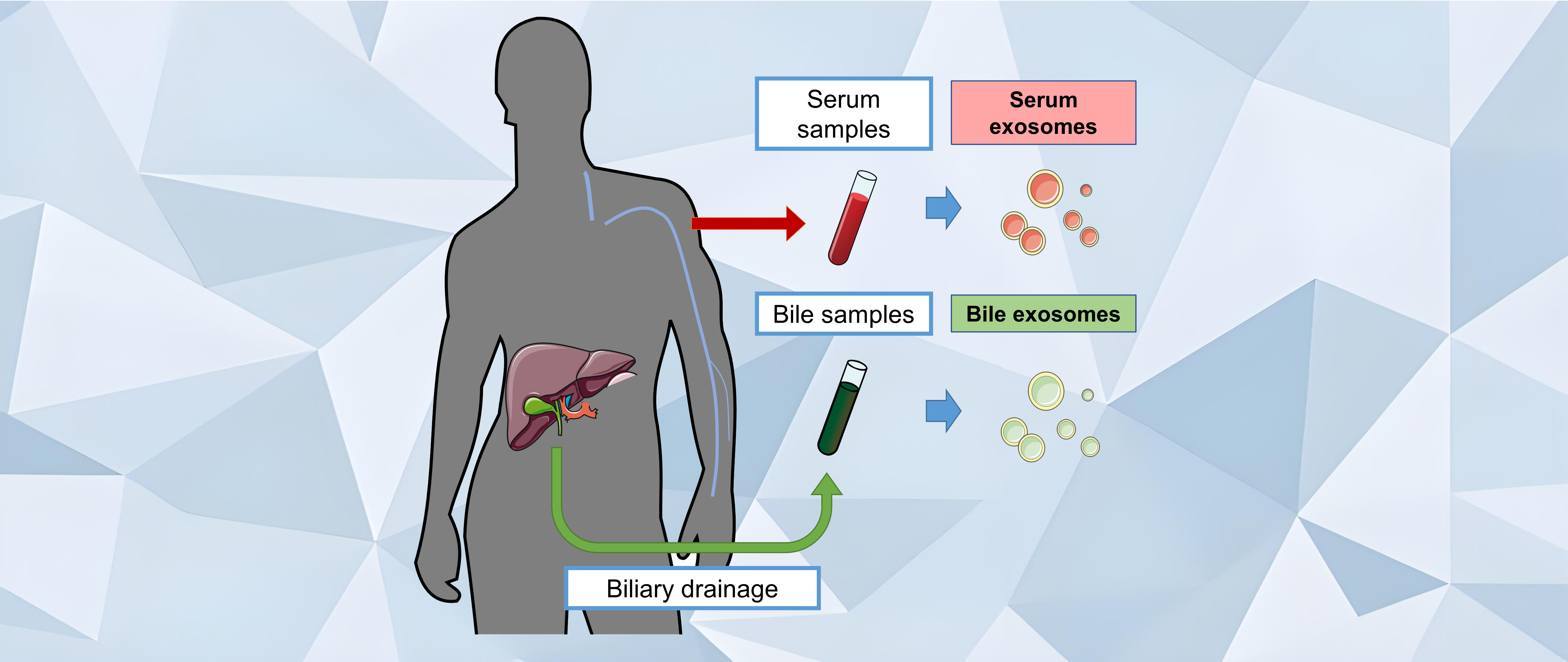 Leveraging different types of bodily fluids for cancer research