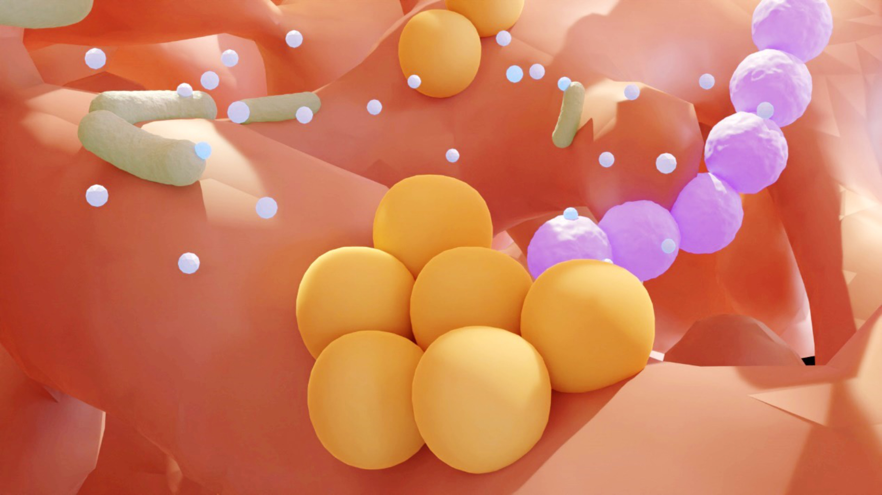 Adaptation of Staphylococcus aureus to the airways correlates with increased exploitation of metabolites released by the lung microbiota