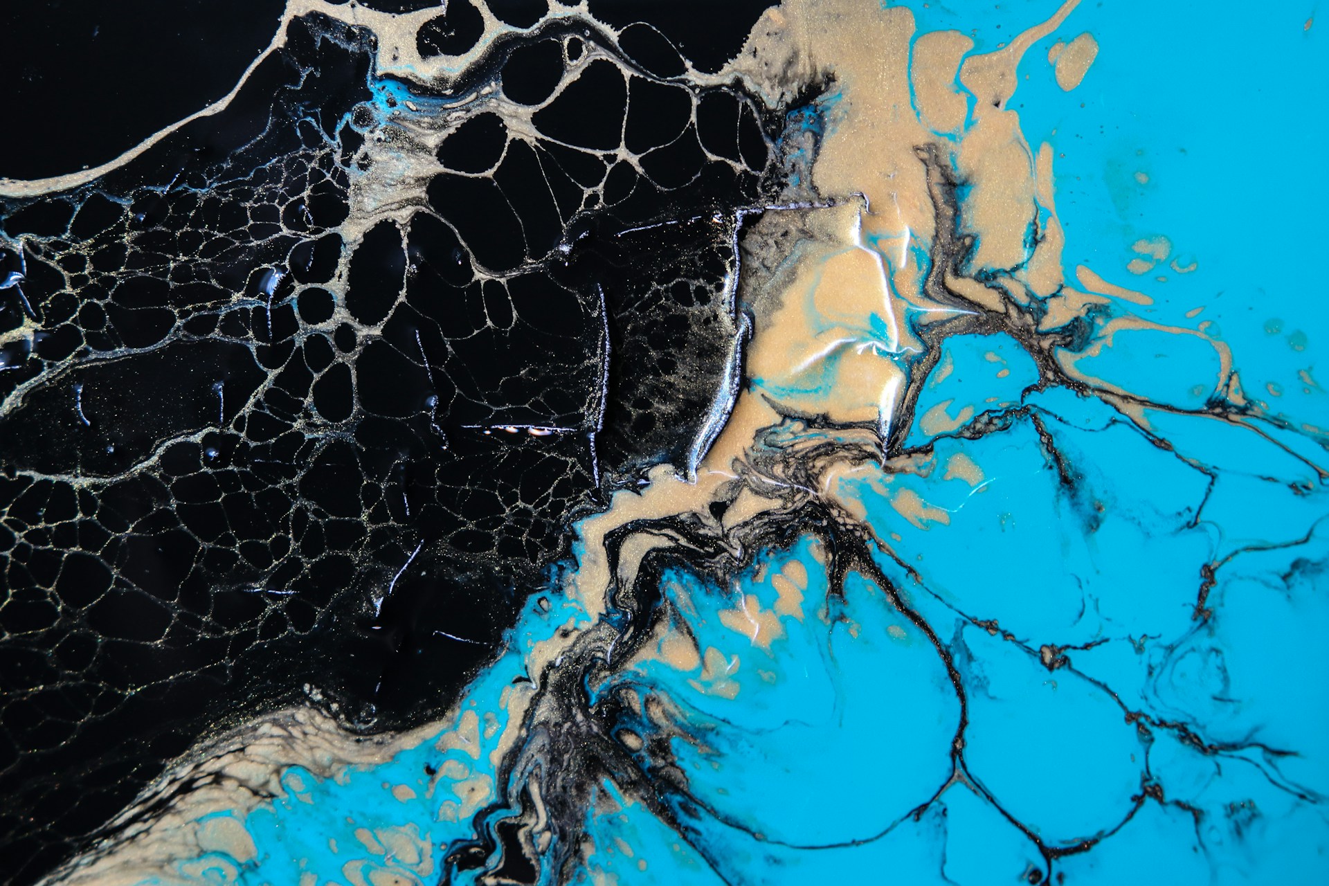 FEBS Junior Section present Veiga-Fernandes