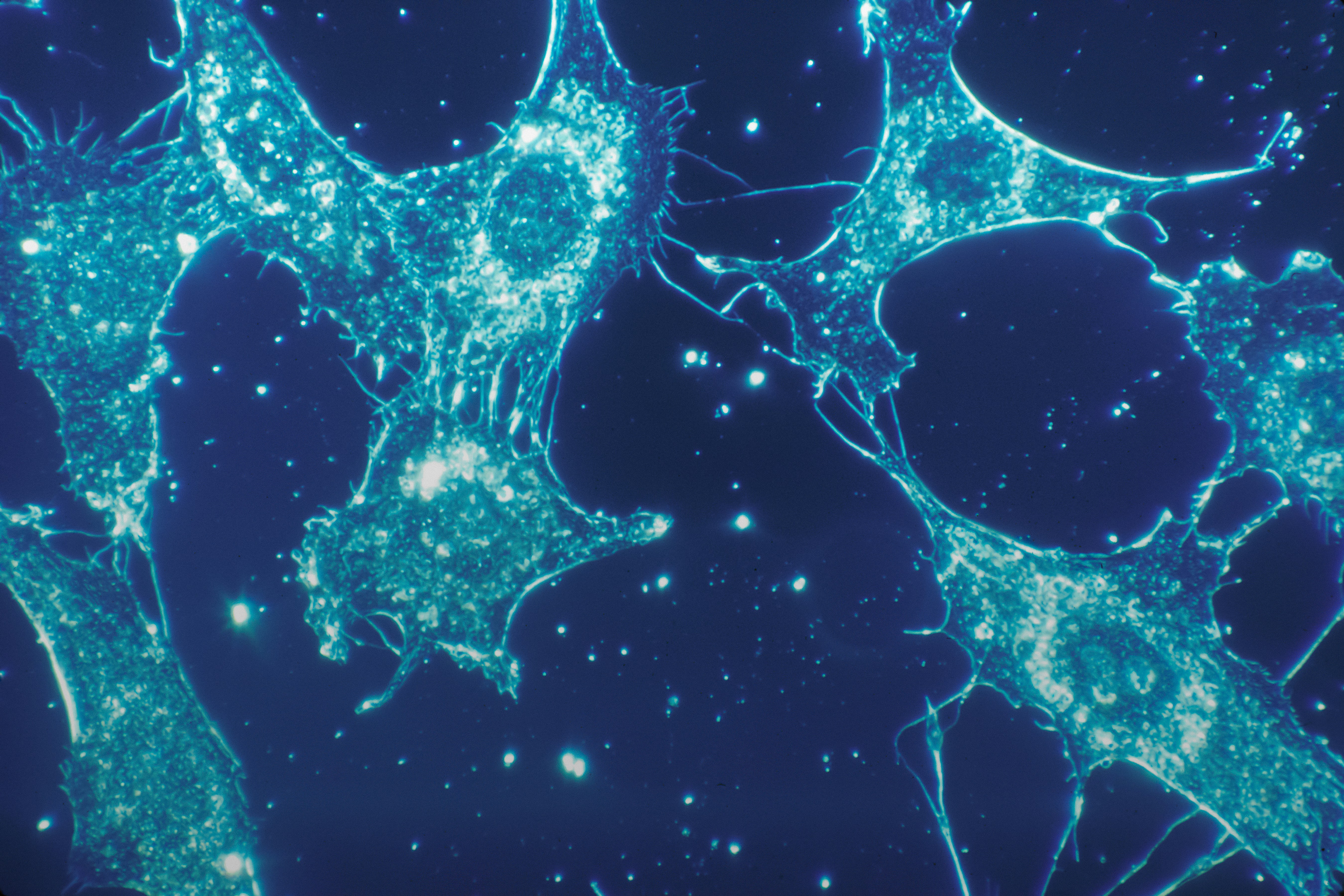 Levelling the Playing Field: Resource Stratification, Decentralised Trials and Accessible Therapies