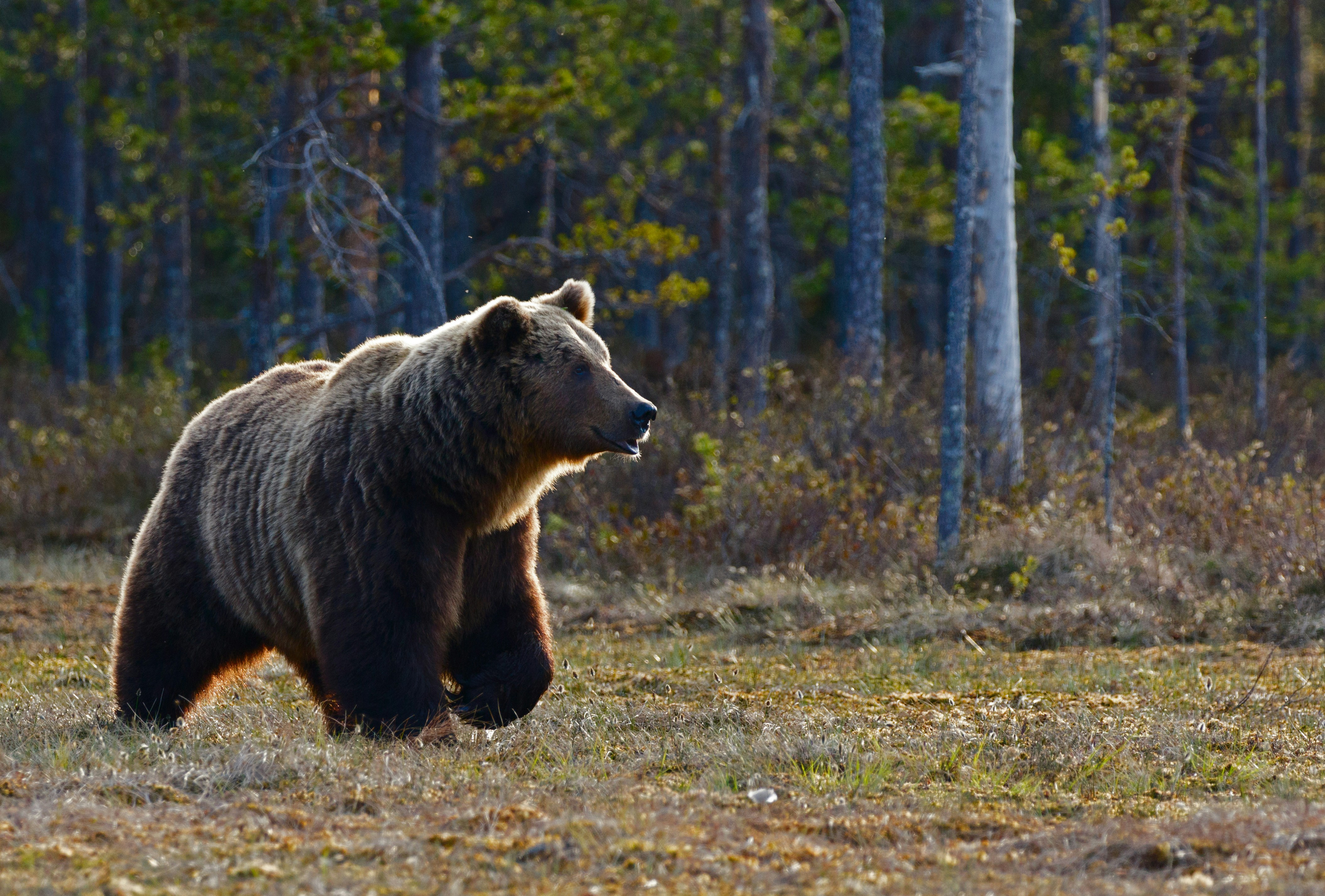 Rewilding Conference, 20-21 Sept 2025