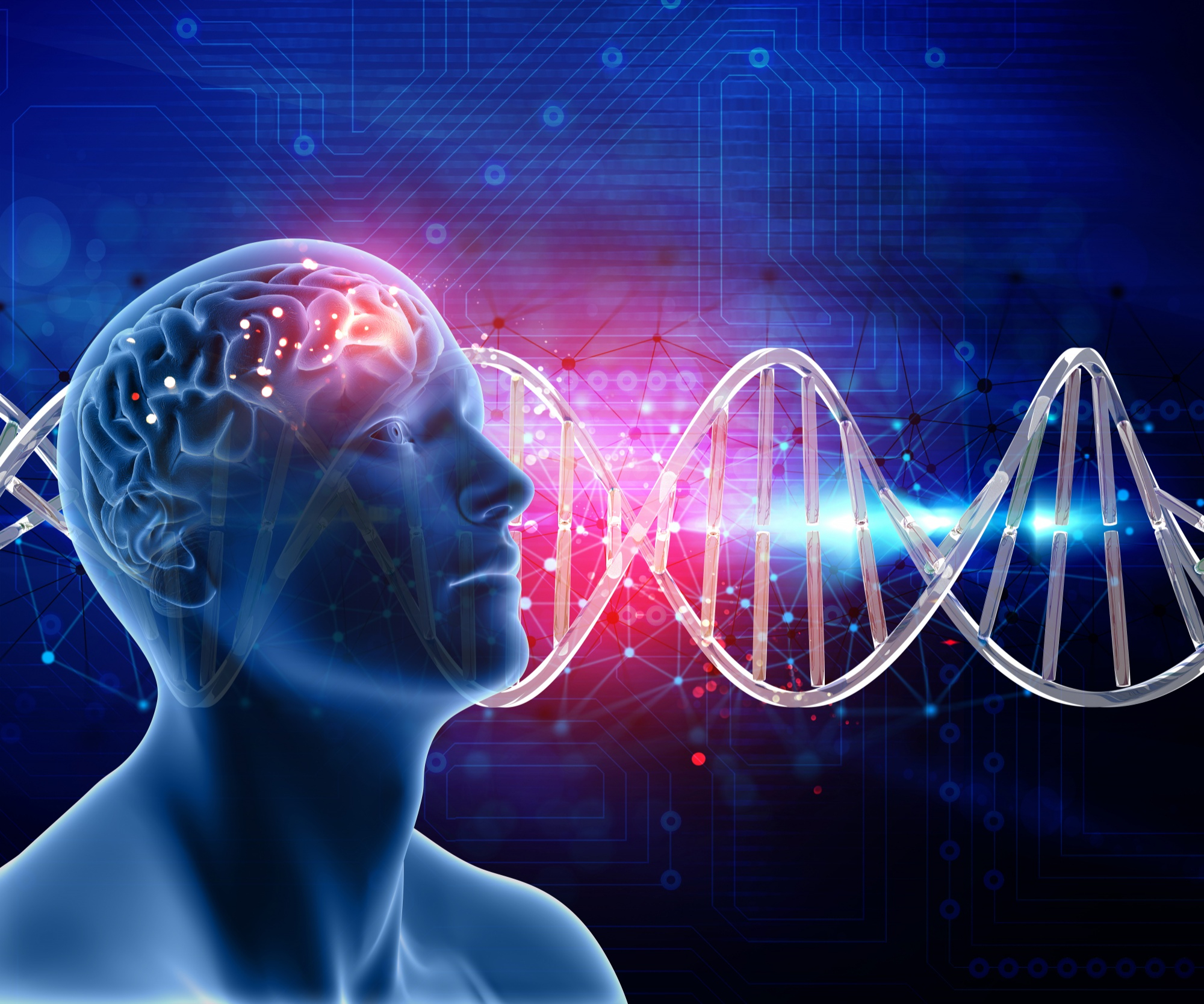 Down-regulation of MKP-1 in hippocampus protects against stress-induced depression-like behaviors and neuroinflammation