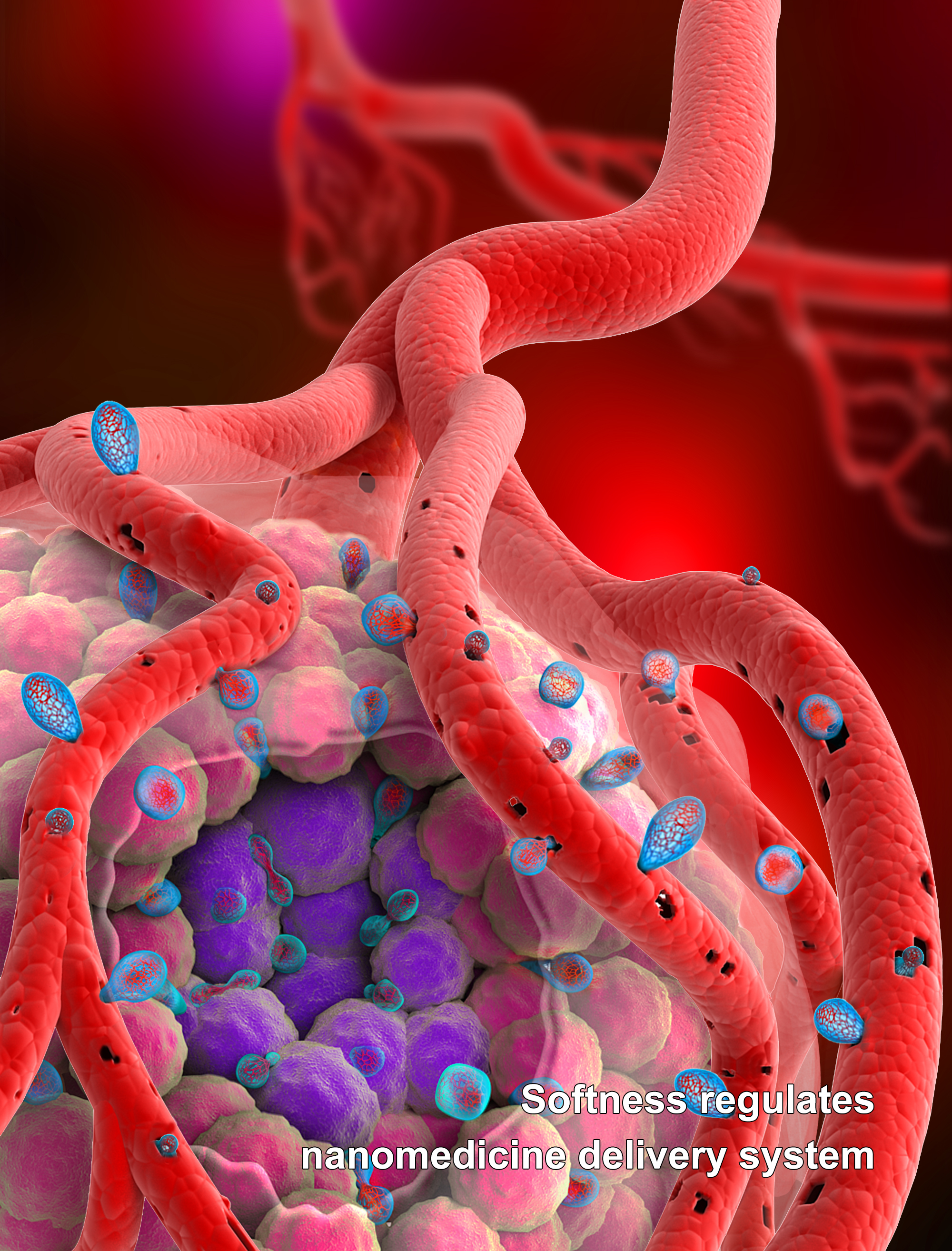 Softness confers chemotherapeutic microparticle better killing