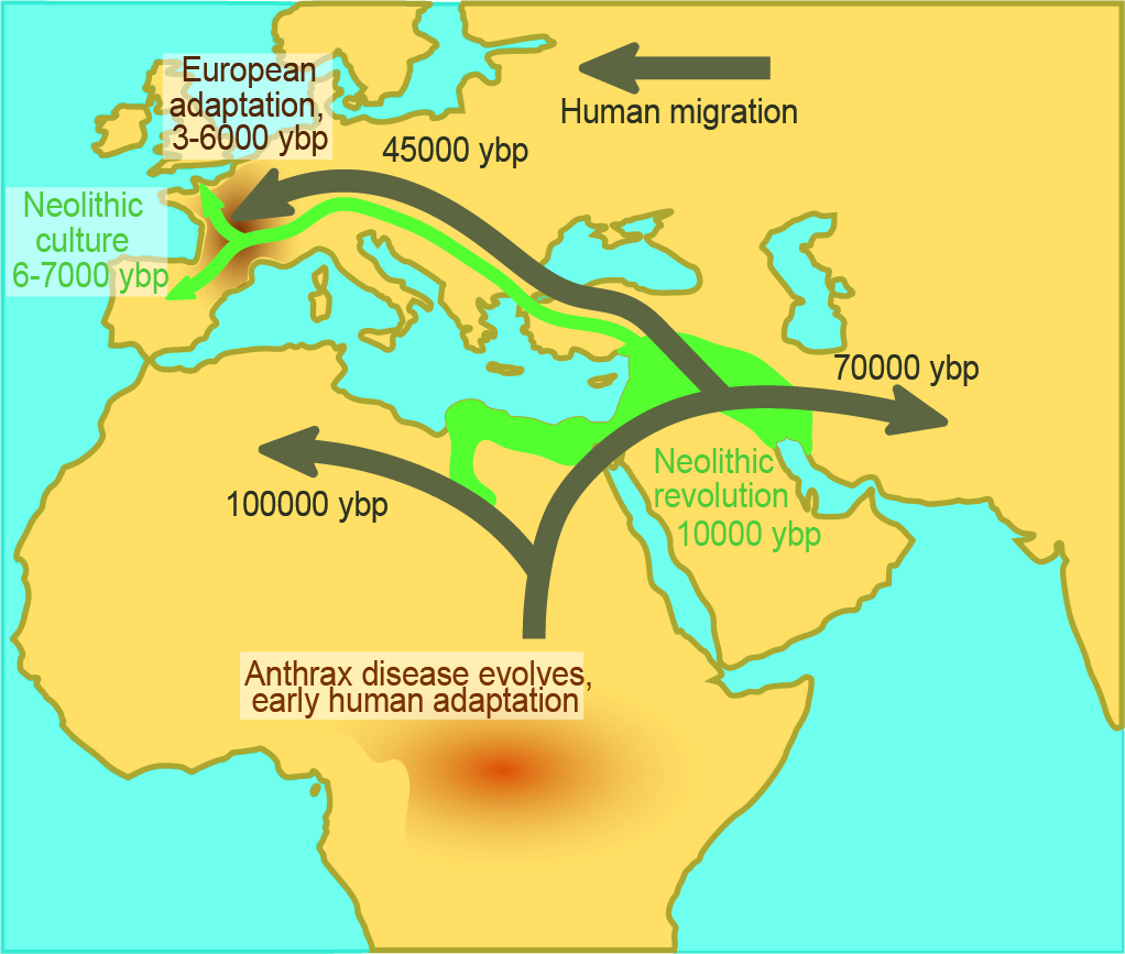 Uncovering the mechanisms of human-pathogen coevolution