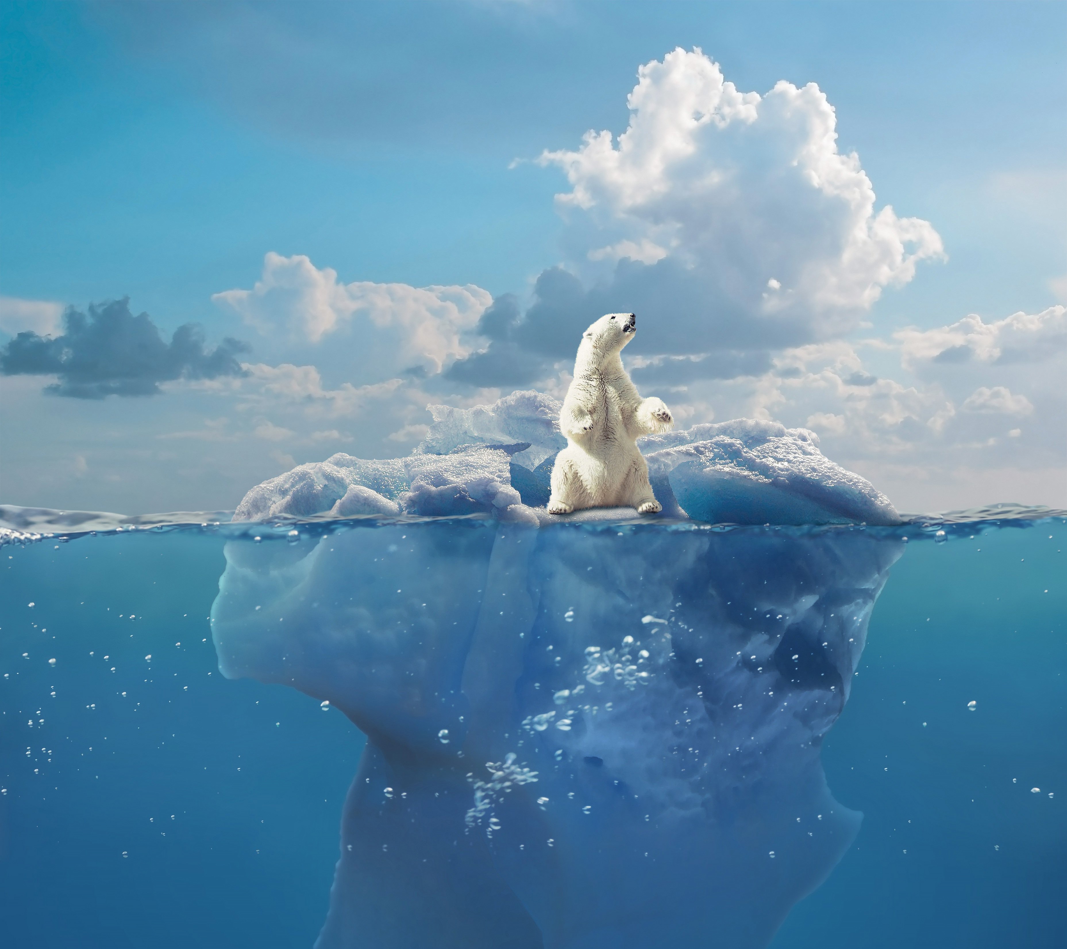 How has Arctic sea ice responded to past climate forcing over millions of years?